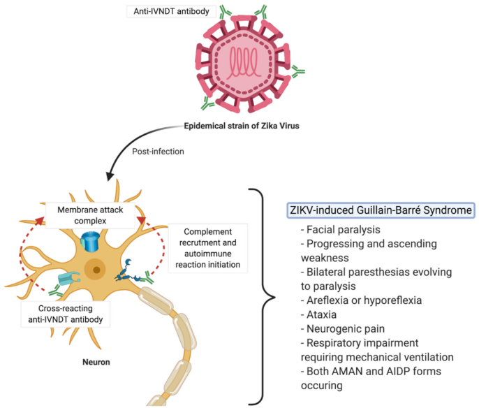 Vaccines 09 00283 g003