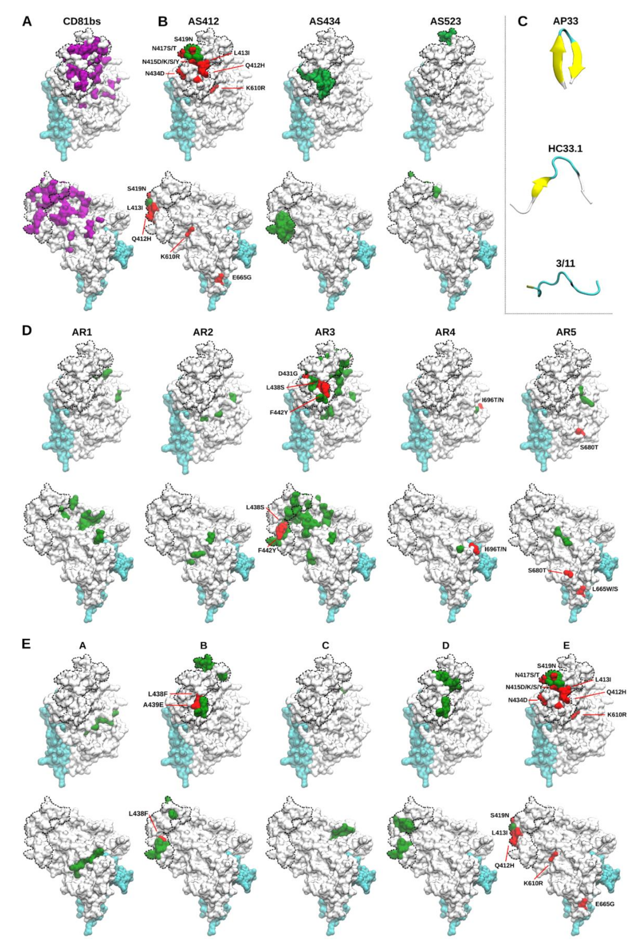 Vaccines 09 00291 g002