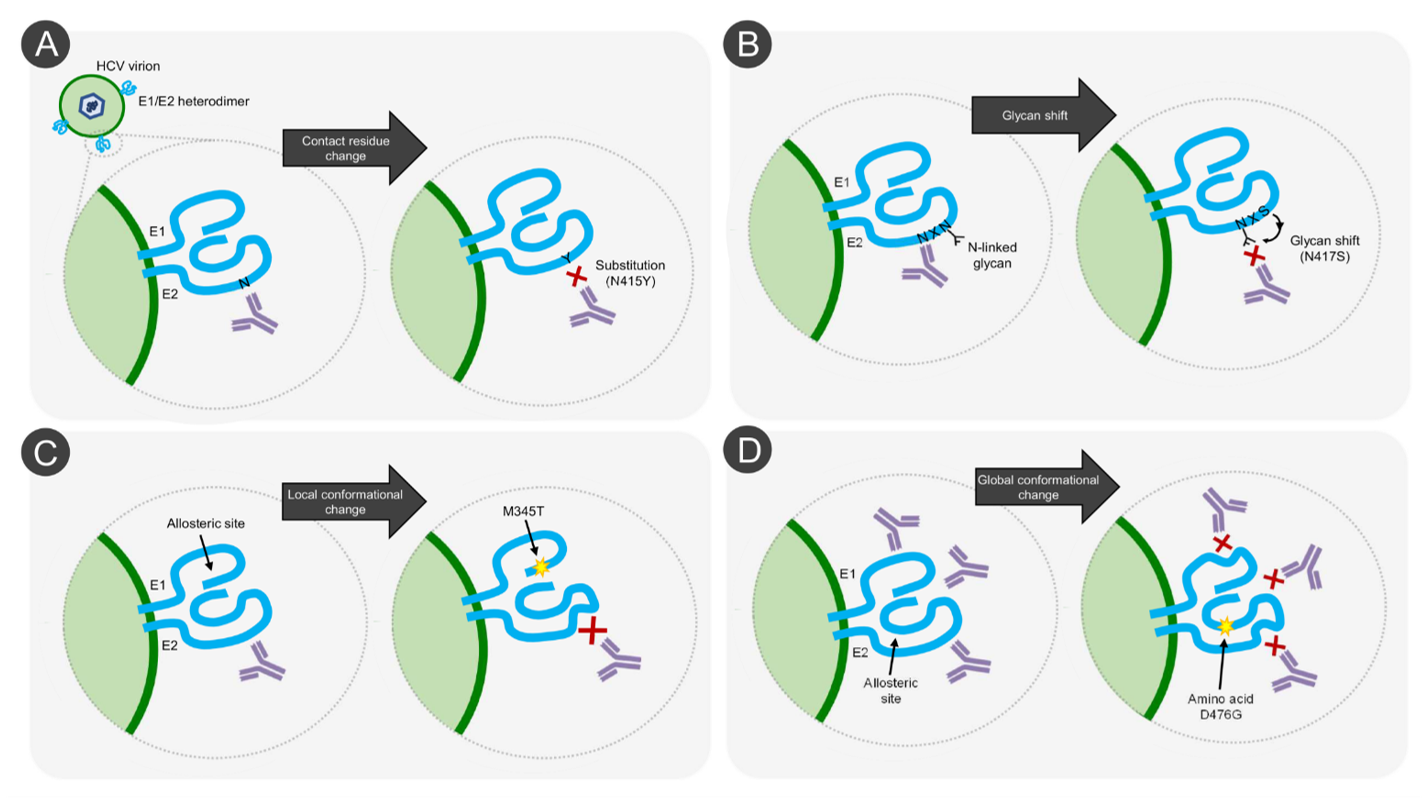 Vaccines 09 00291 g003