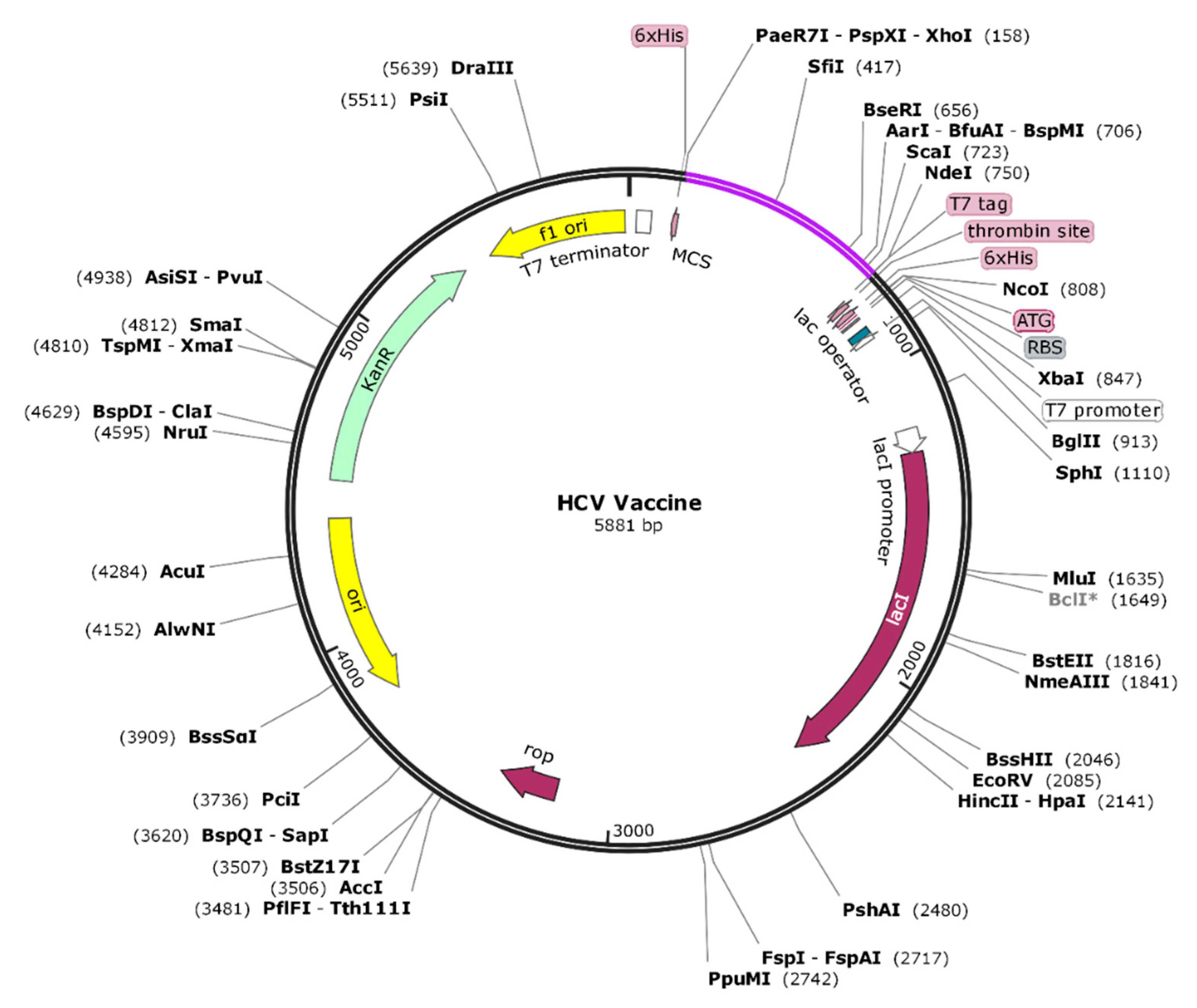 Vaccines 09 00293 g003 Vaccines 09 00293 g003