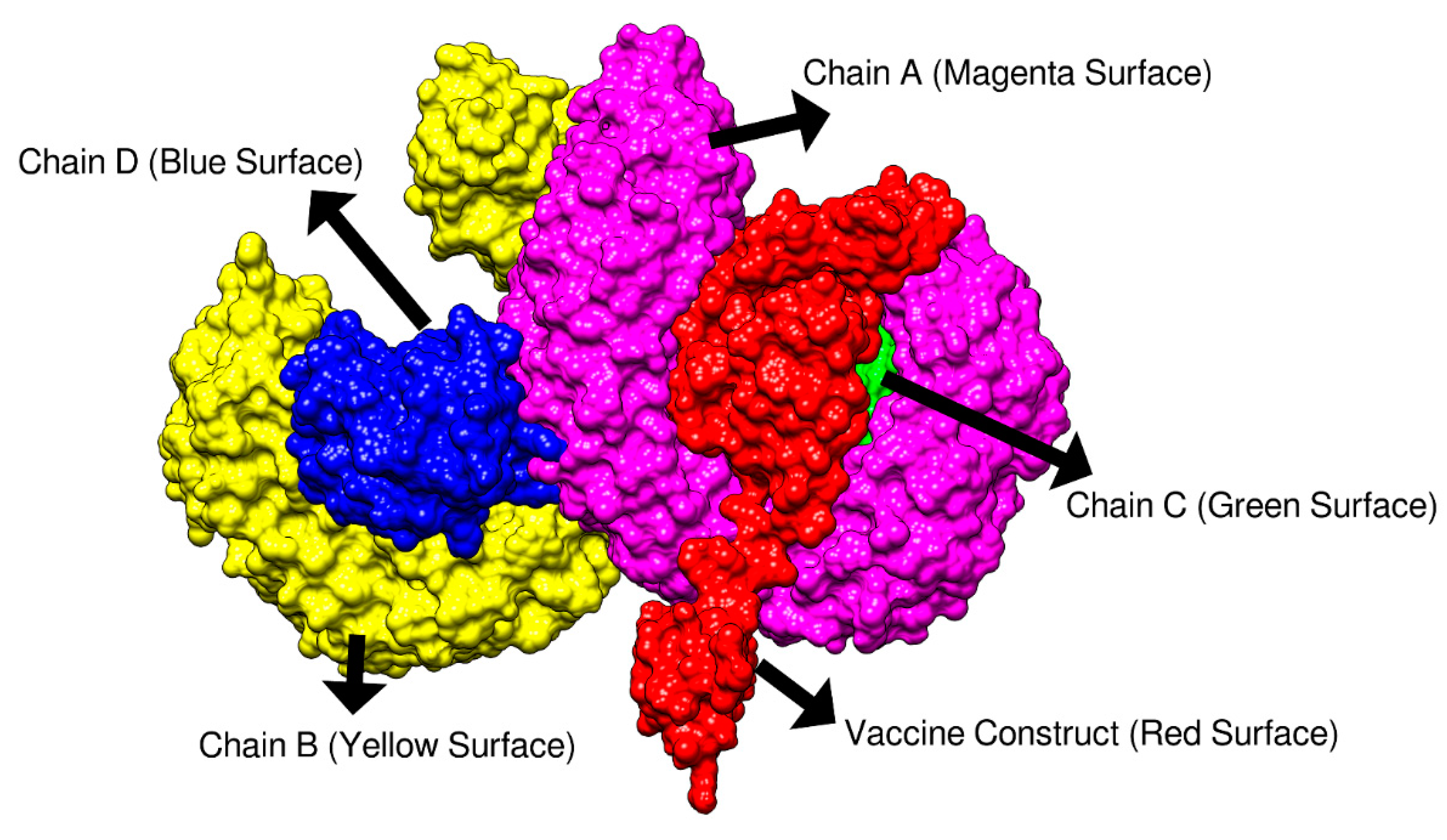 Vaccines 09 00293 g004 Vaccines 09 00293 g004