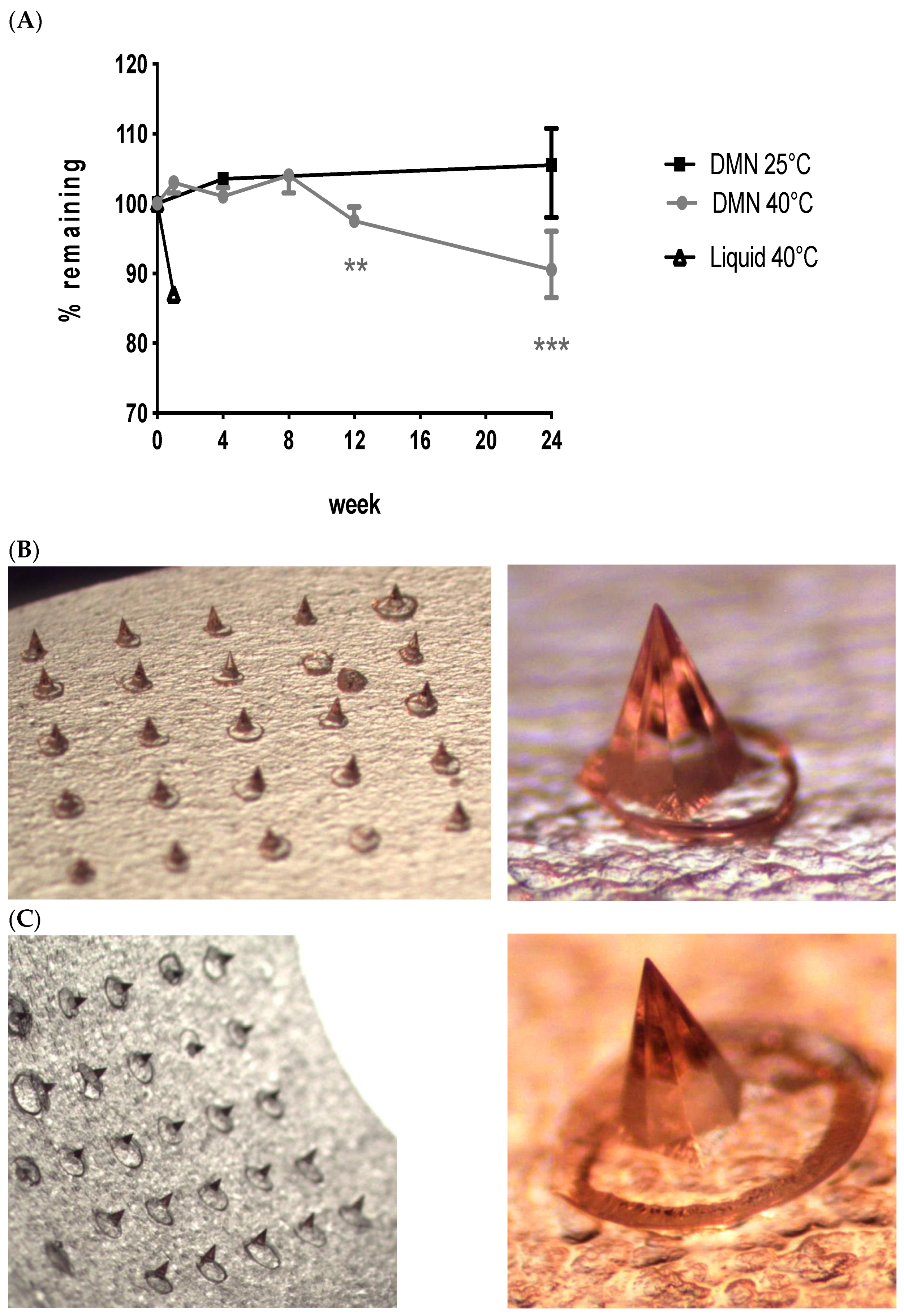 Vaccines 09 00299 g001