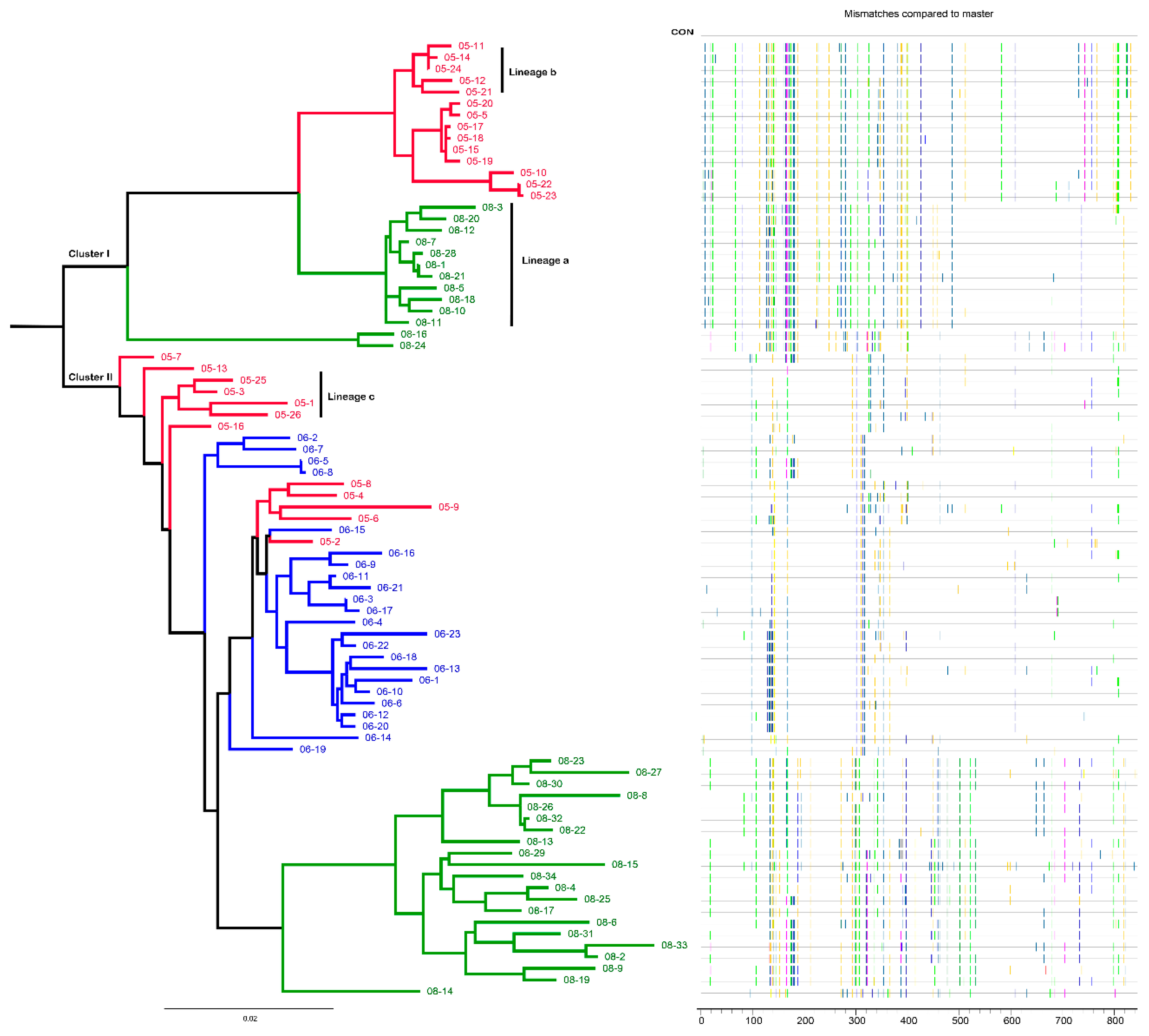 Vaccines 09 00311 g001
