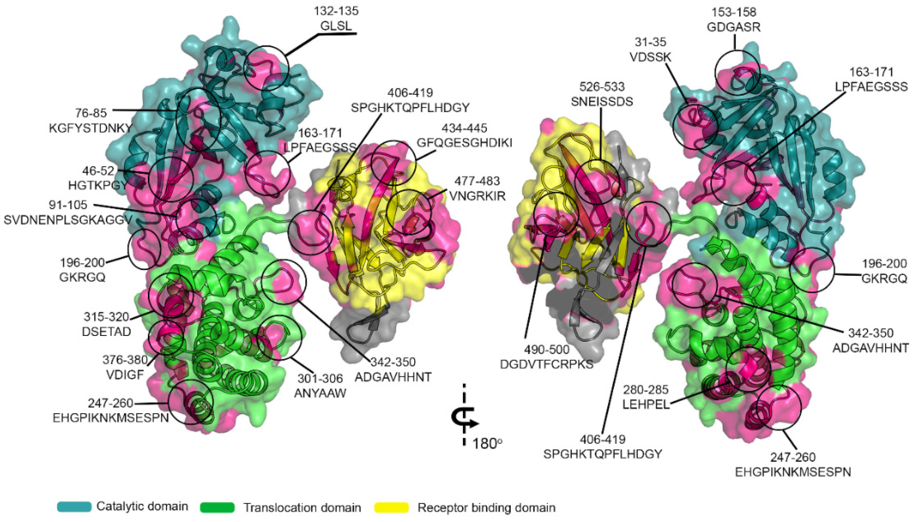 Vaccines 09 00313 g004 Vaccines 09 00313 g004