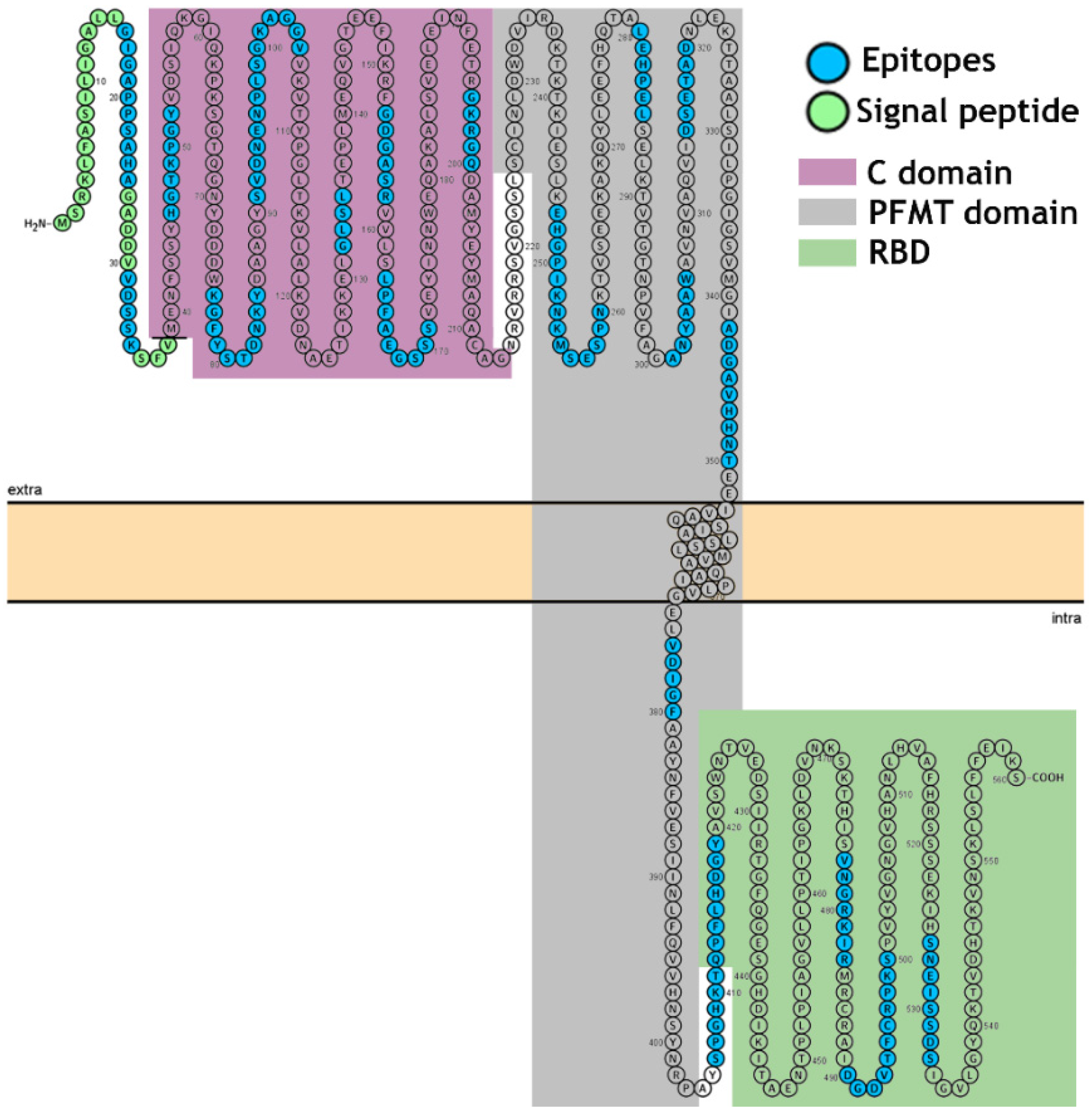 Vaccines 09 00313 g005 Vaccines 09 00313 g005