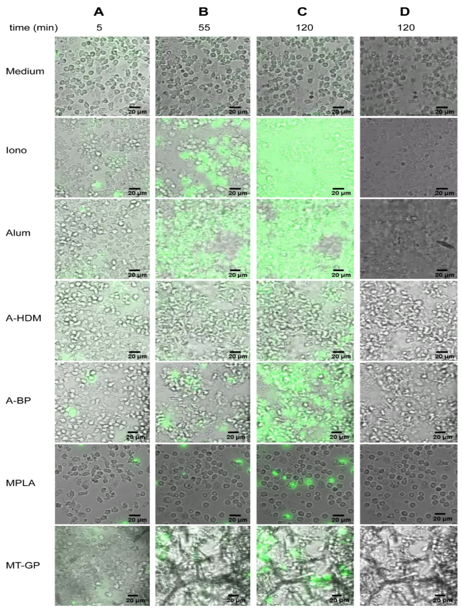 Vaccines 09 00321 g001