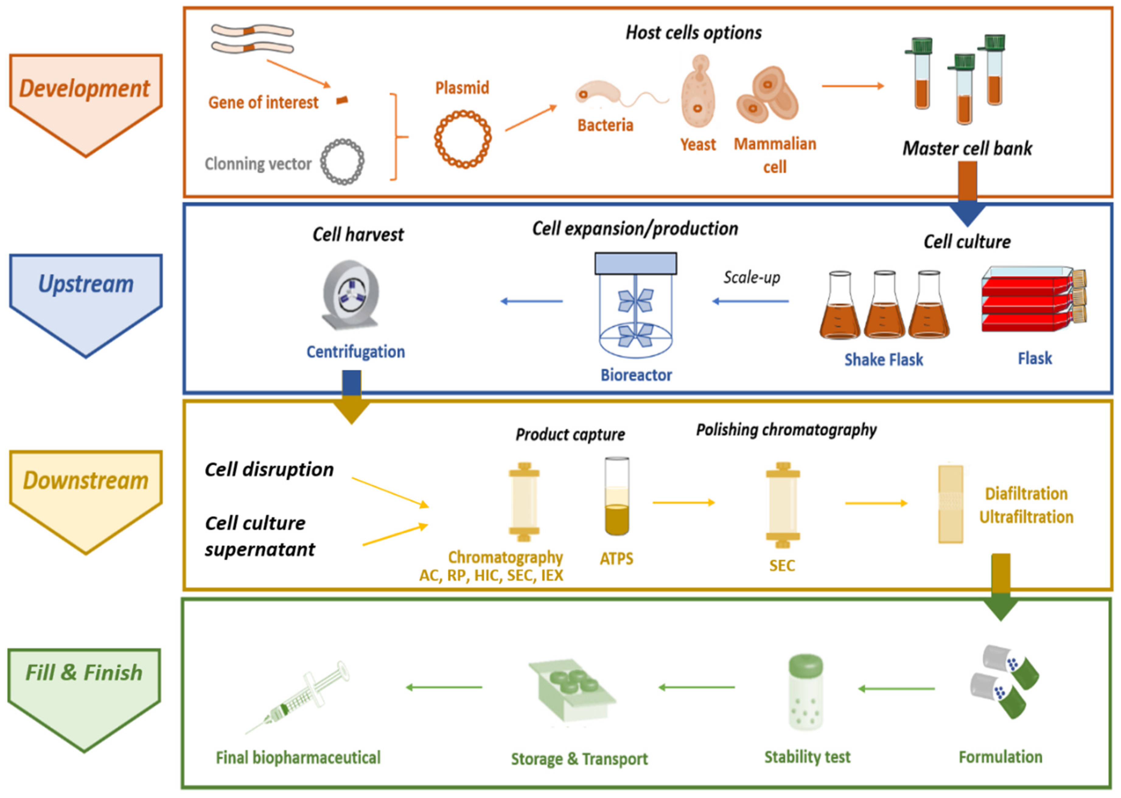 Vaccines 09 00328 g002 Vaccines 09 00328 g002