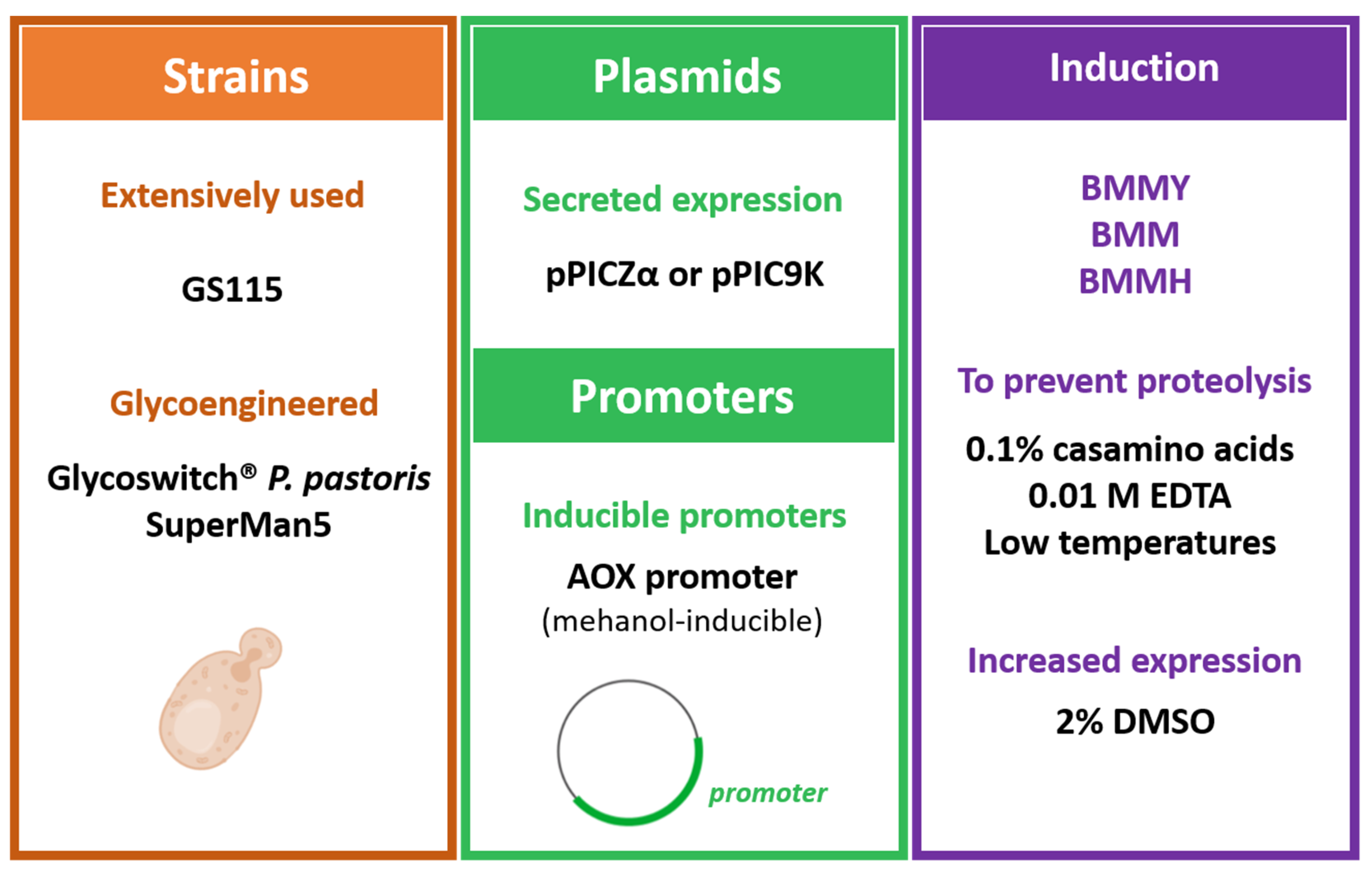 Vaccines Free Full Text Interferon Based Biopharmaceuticals Overview On The Production Purification And Formulation Html