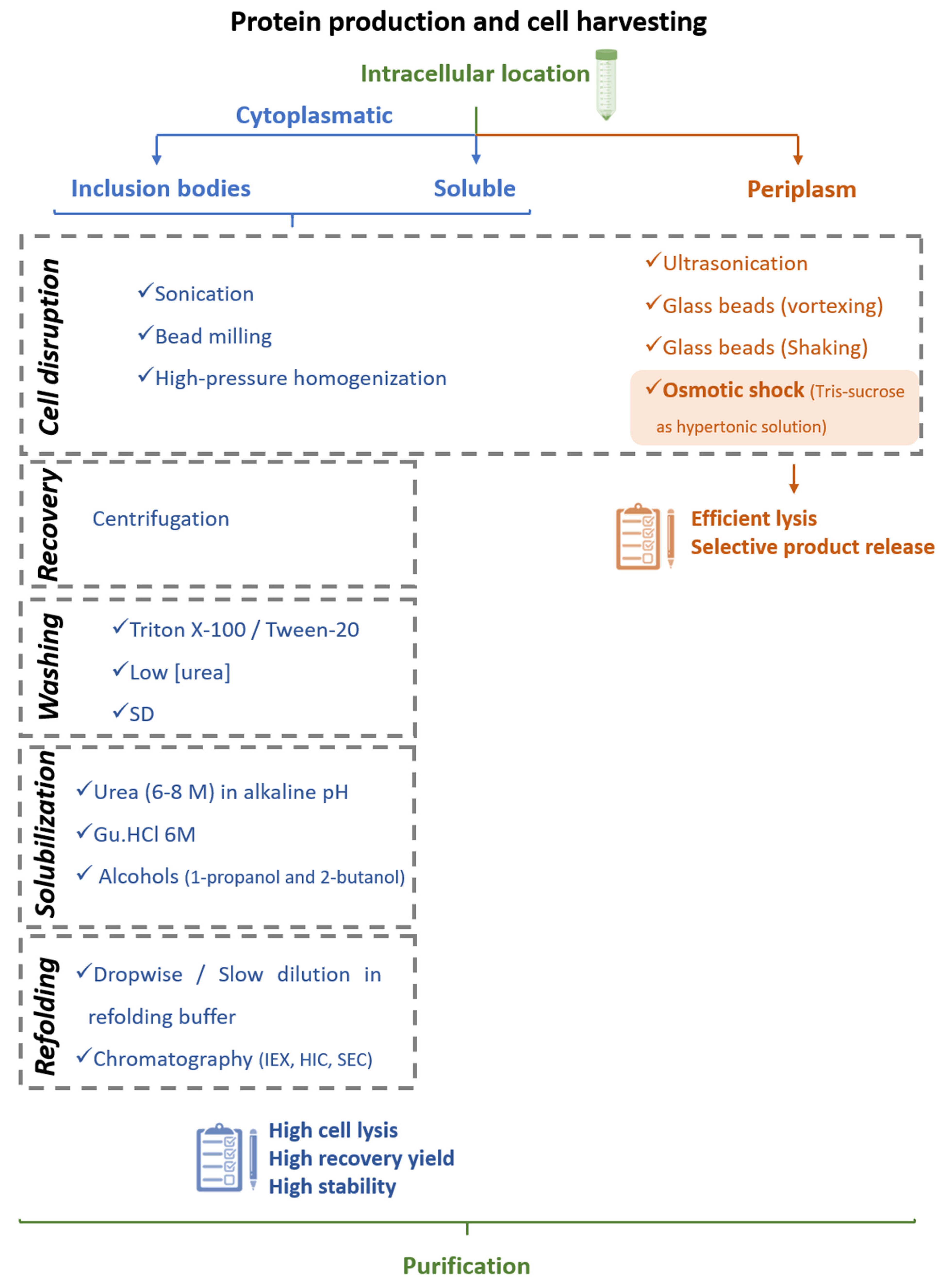 Vaccines 09 00328 g005 Vaccines 09 00328 g005