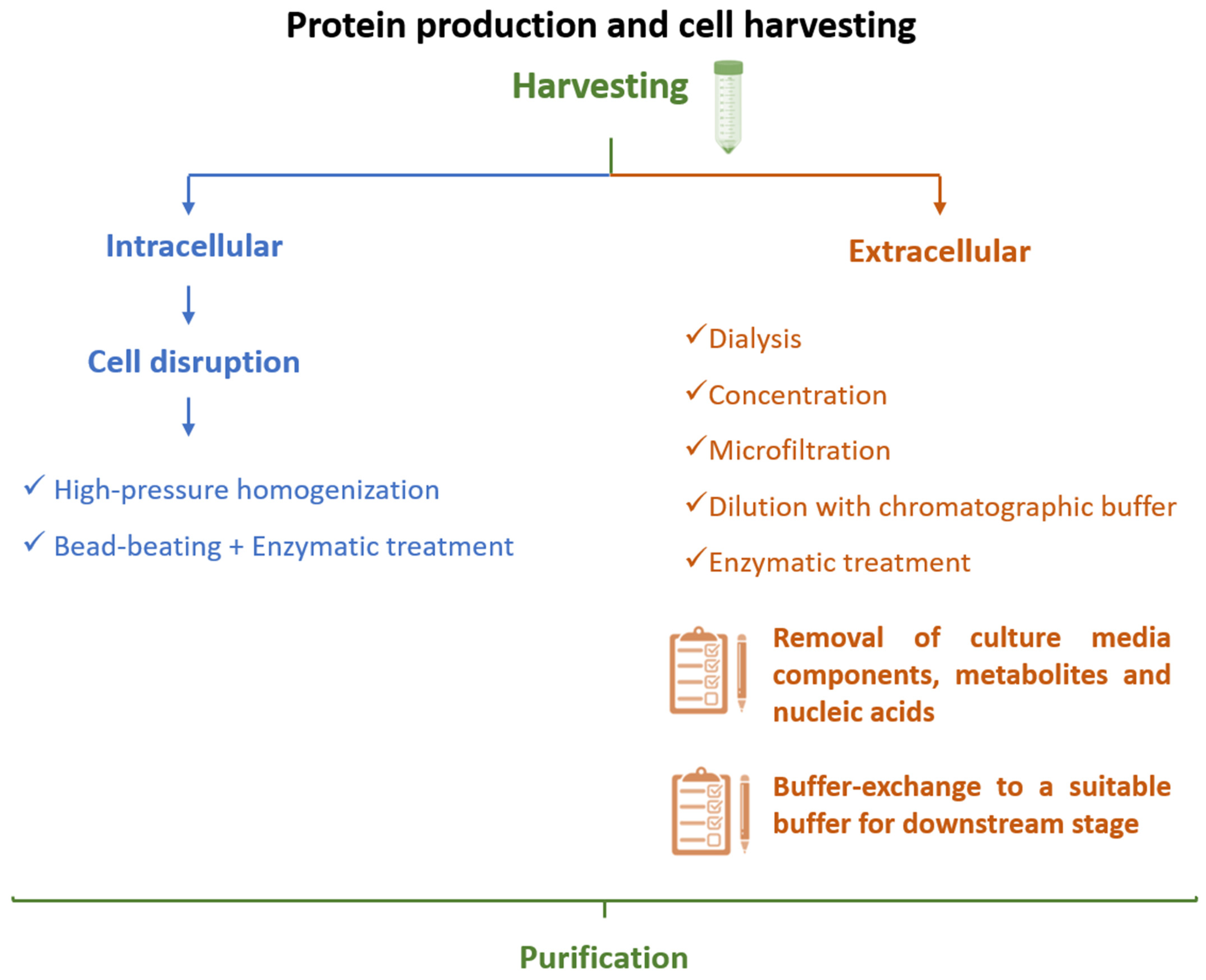 Vaccines 09 00328 g006 Vaccines 09 00328 g006