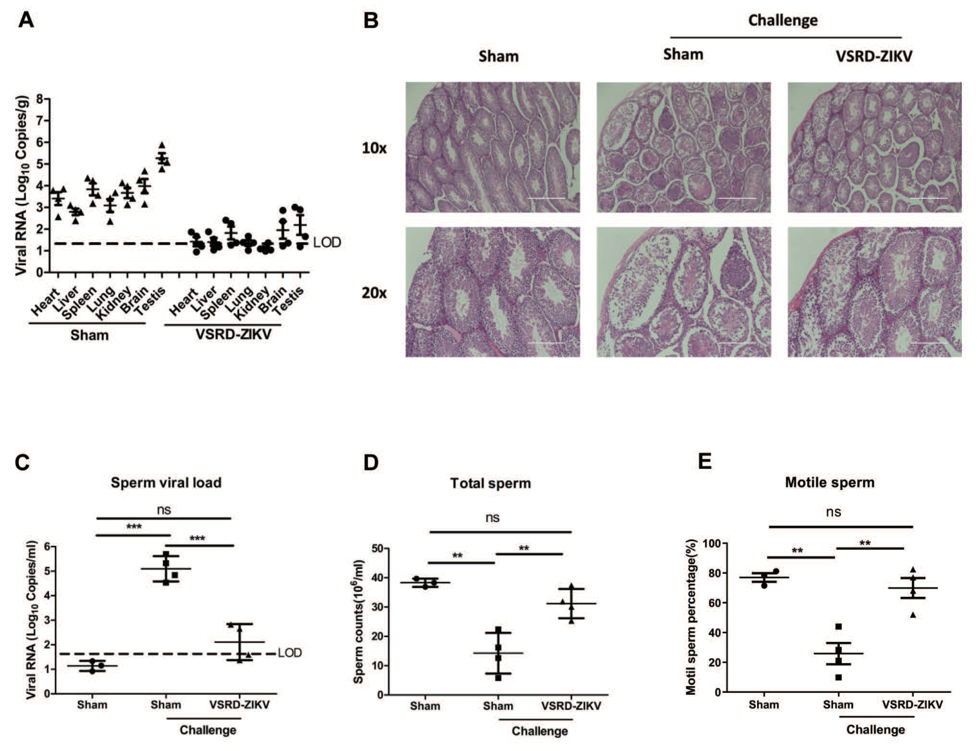 Vaccines 09 00338 g003 Vaccines 09 00338 g003
