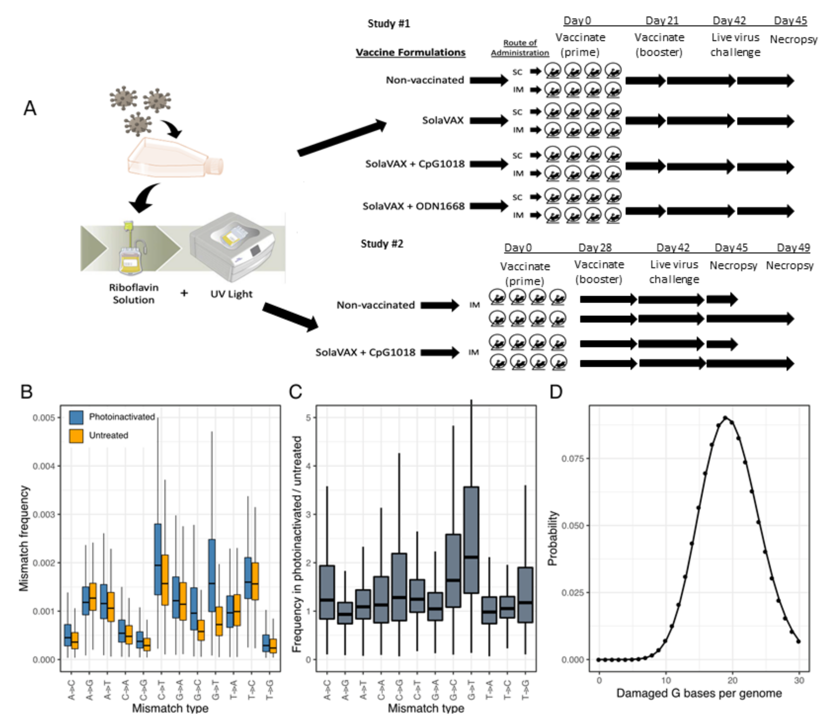 Vaccines | Free Full-Text | A Whole Virion Vaccine for COVID-19 Produced via a Novel Inactivation Method and Preliminary Demonstration of Efficacy in an Animal Challenge Model Vaccines | Free Full-Text | A Whole Virion Vaccine for COVID-19 Produced via a Novel Inactivation Method and Preliminary Demonstration of Efficacy in an Animal Challenge Model