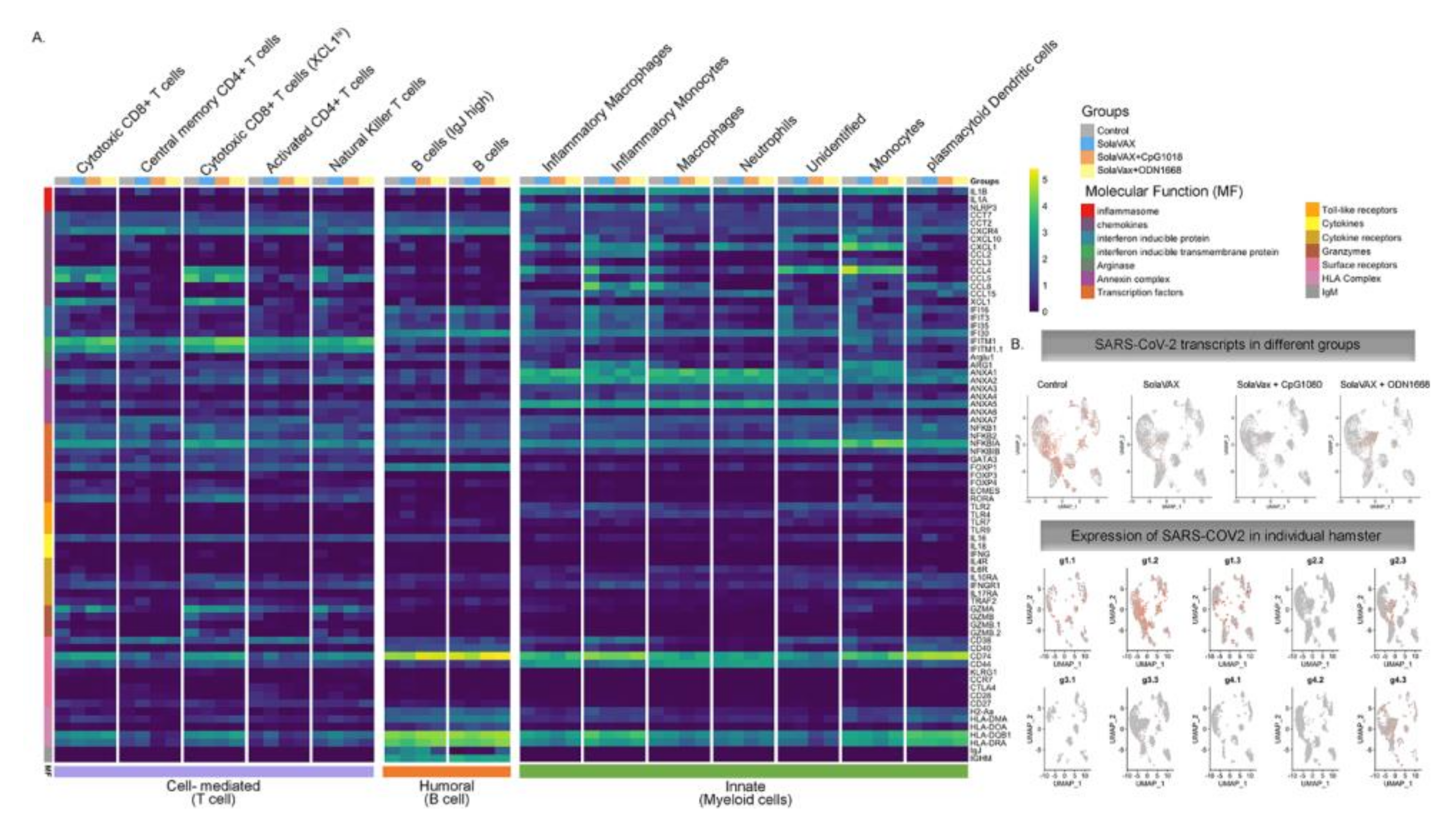 Vaccines 09 00340 g008