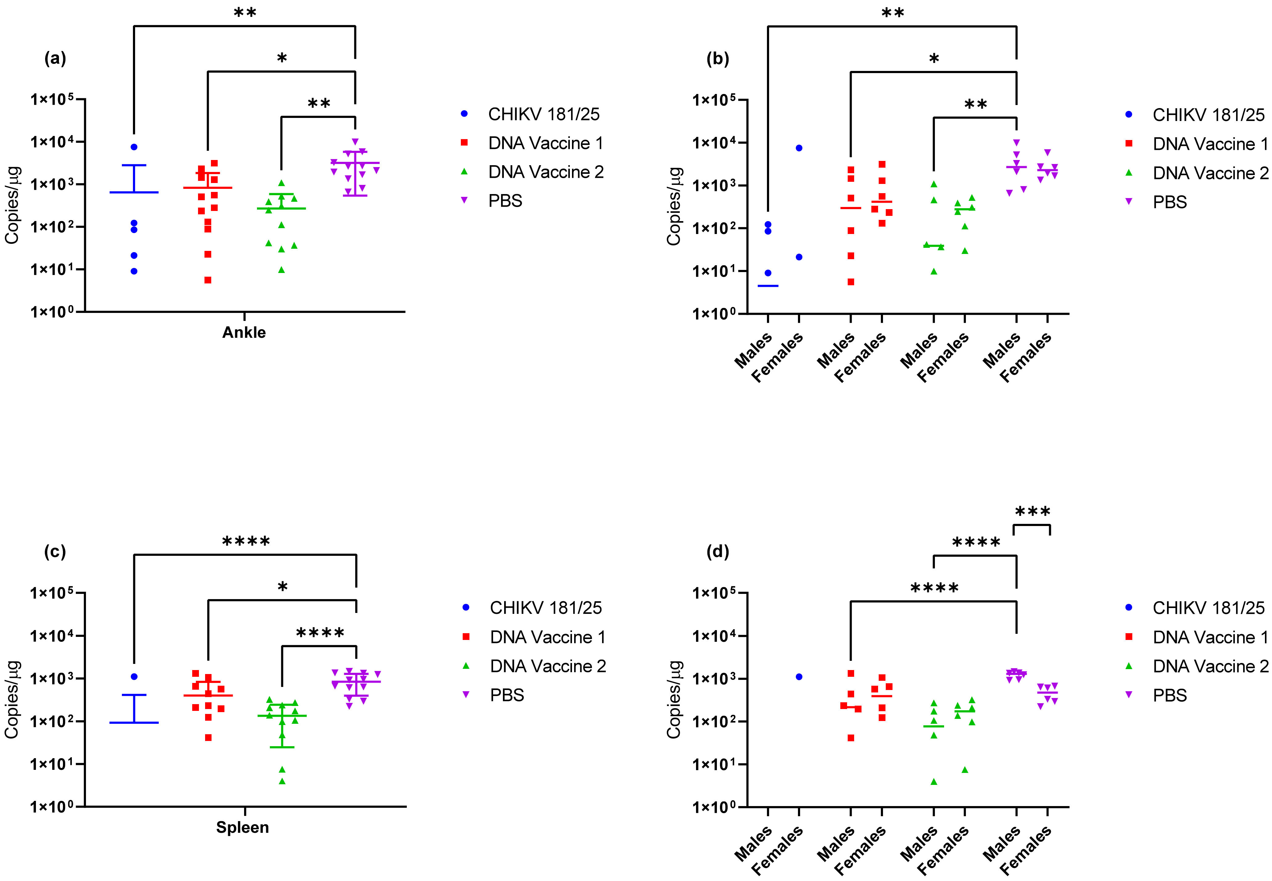 Vaccines 09 00345 g011