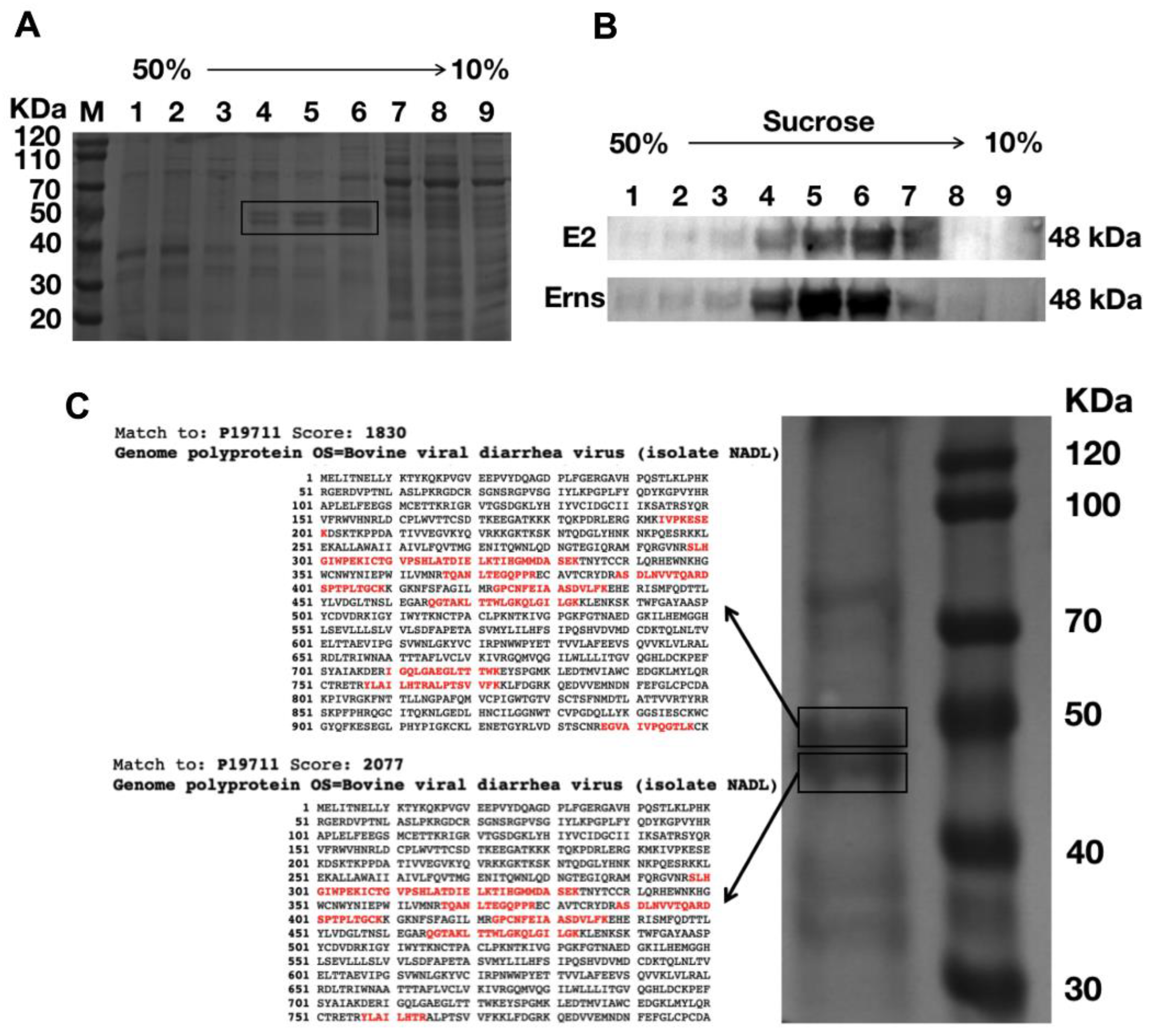 Vaccines 09 00350 g003 Vaccines 09 00350 g003