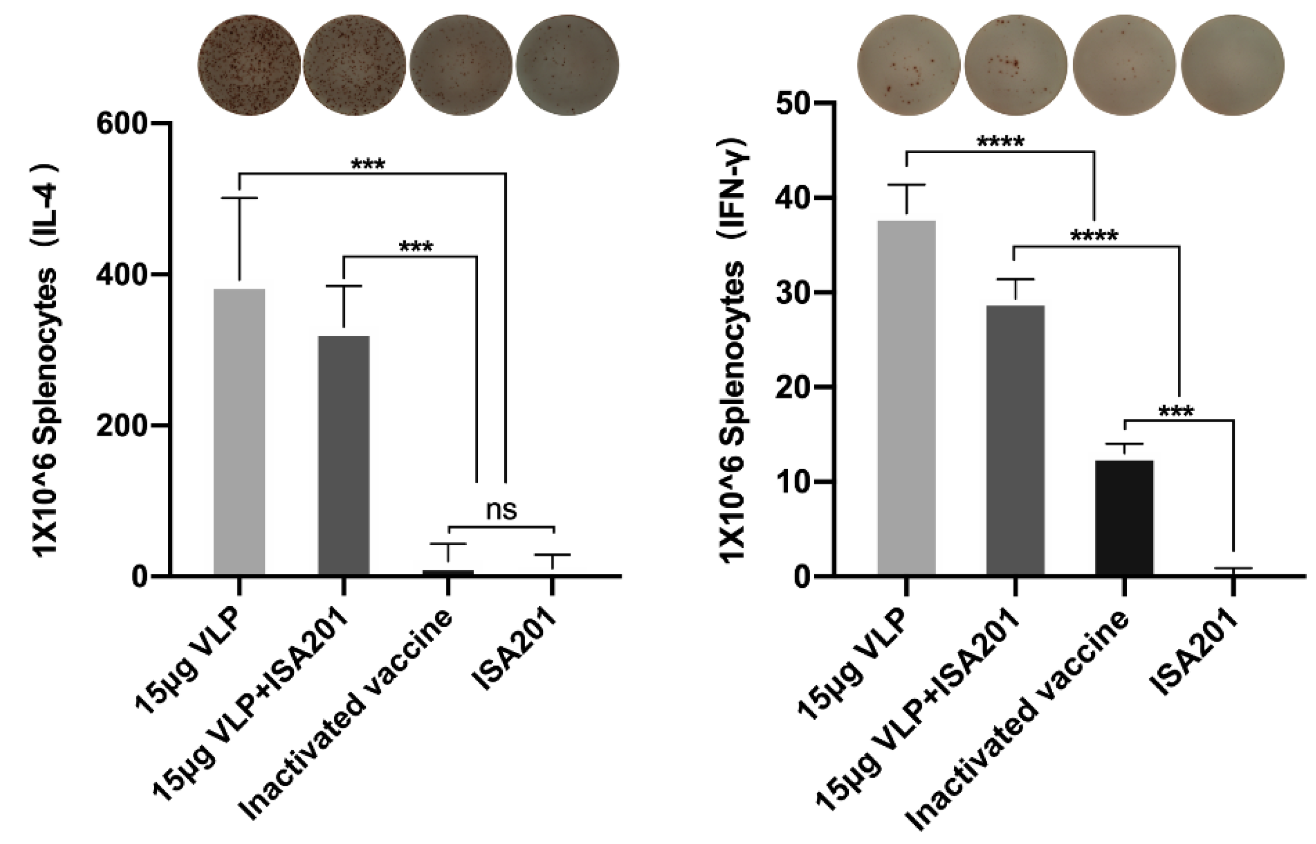 Vaccines 09 00350 g009 Vaccines 09 00350 g009