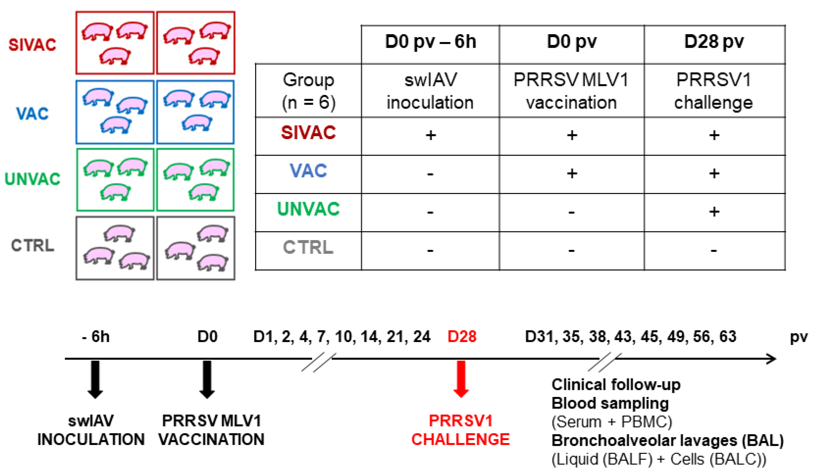Vaccines 09 00356 g001 Vaccines 09 00356 g001