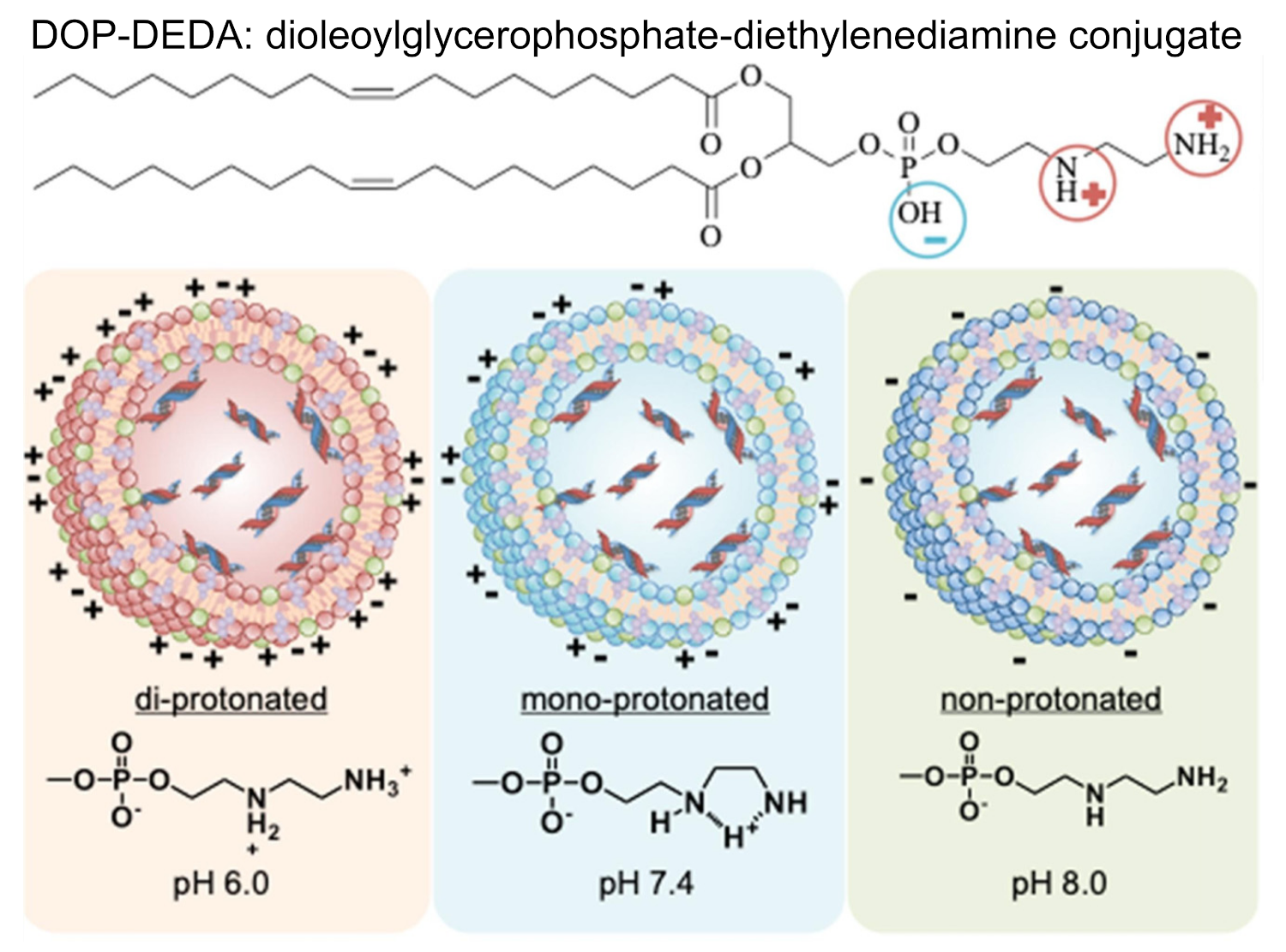 Vaccines 09 00359 g003 Vaccines 09 00359 g003