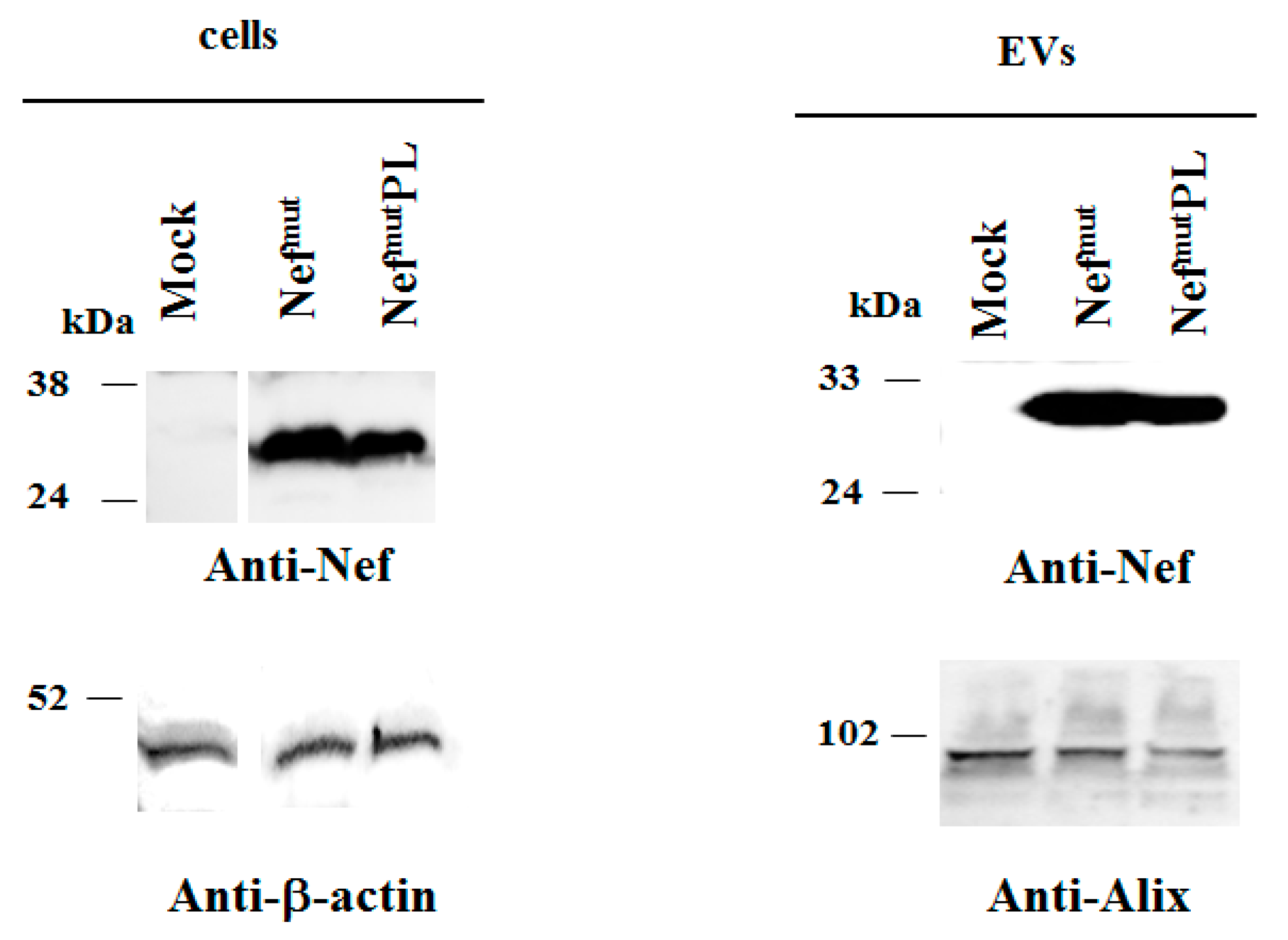 Vaccines 09 00373 g002