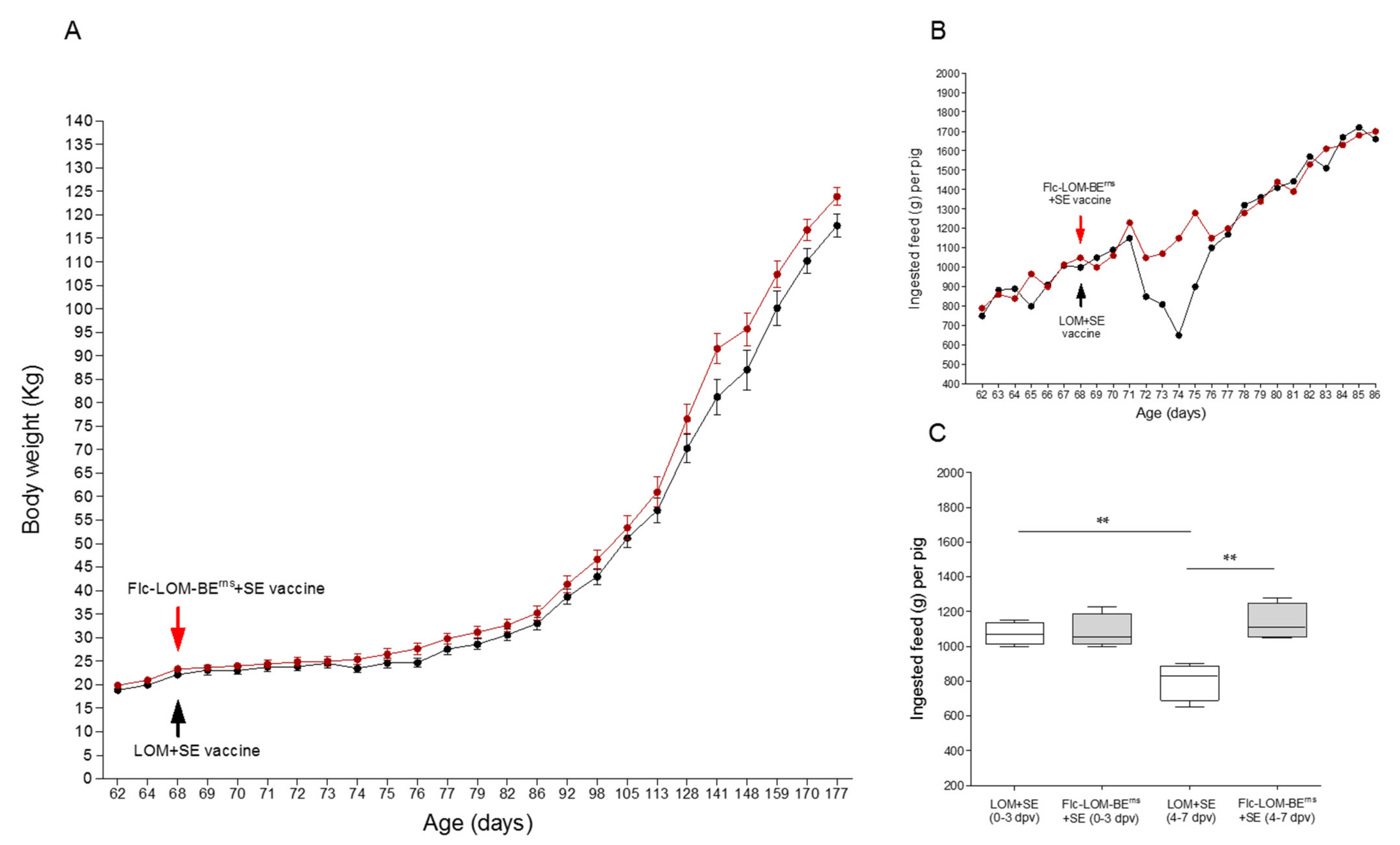 Vaccines 09 00381 g001 Vaccines 09 00381 g001