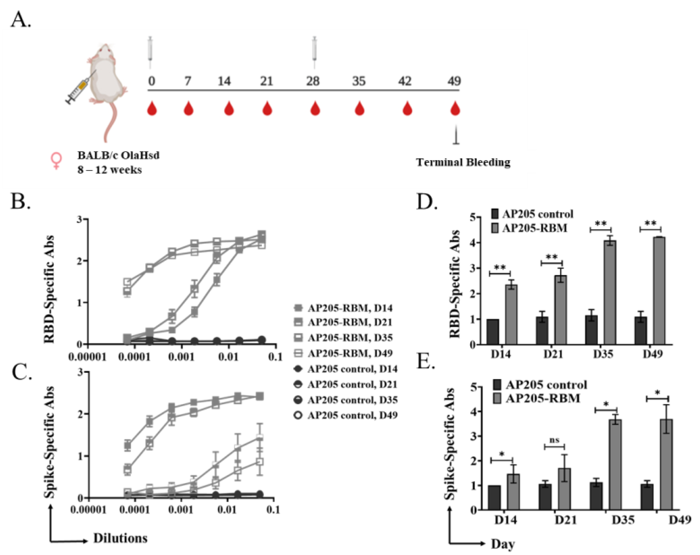 Vaccines 09 00403 g002