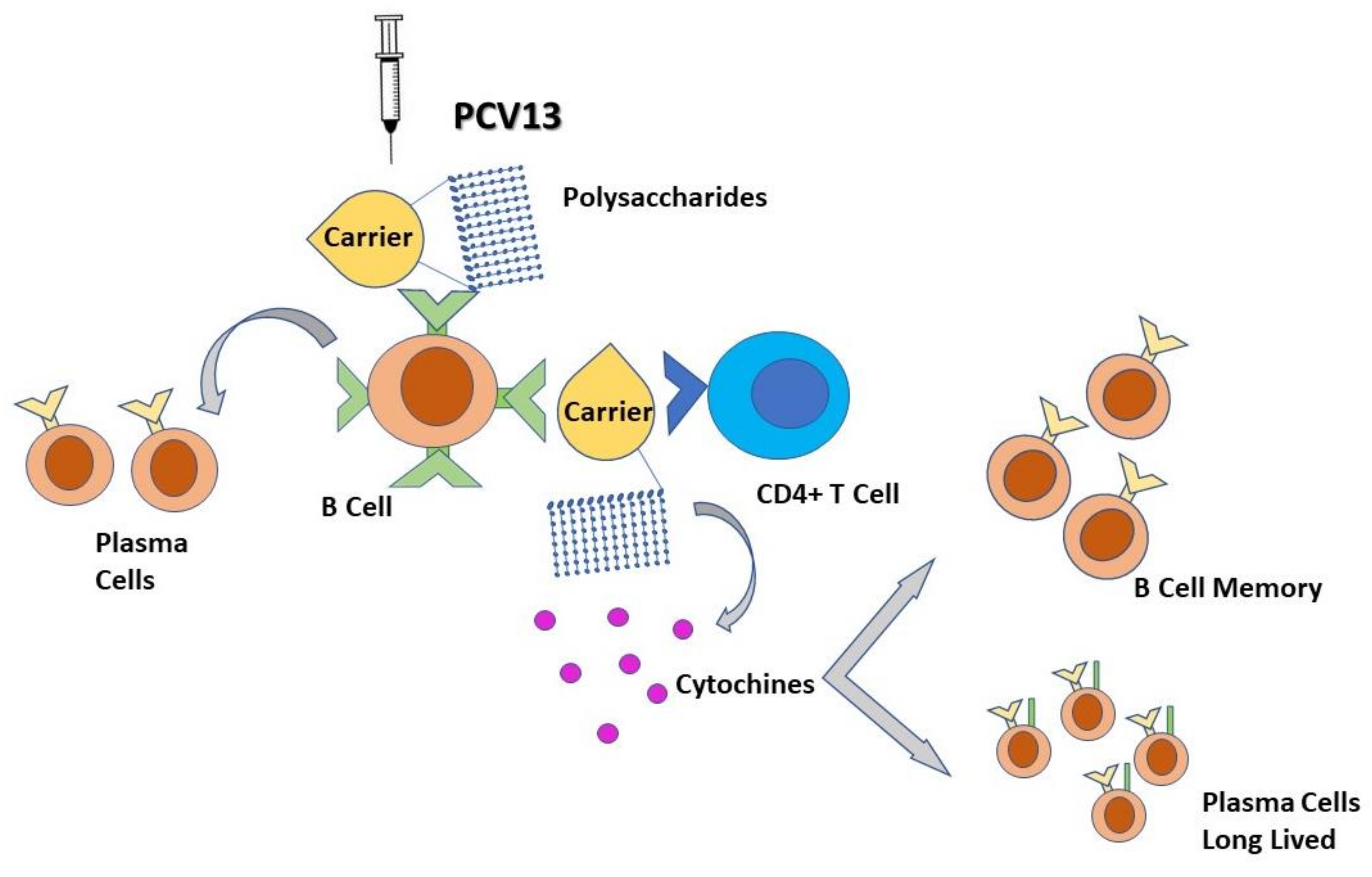 Vaccines 09 00420 g002