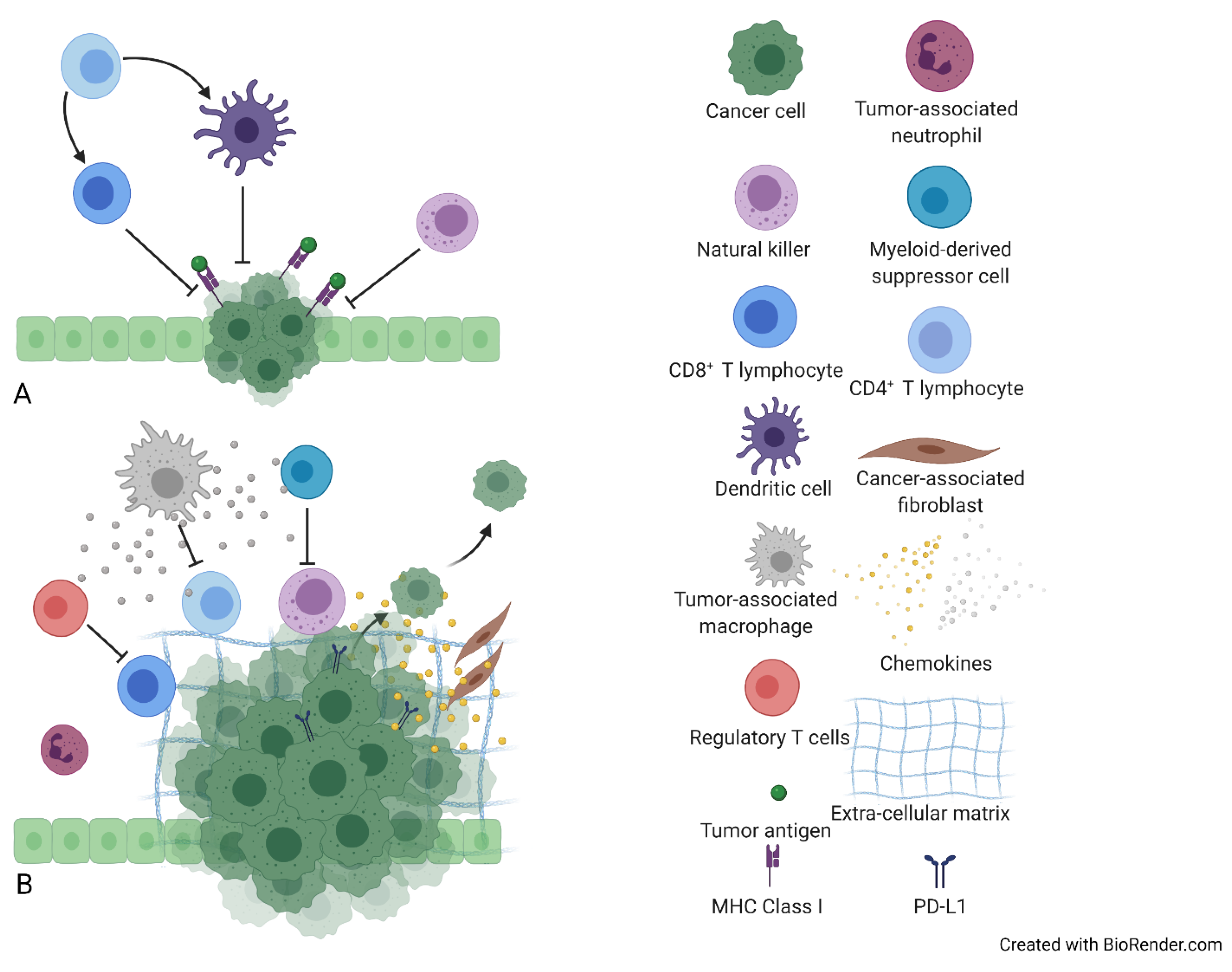 Vaccines 09 00422 g001 Vaccines 09 00422 g001