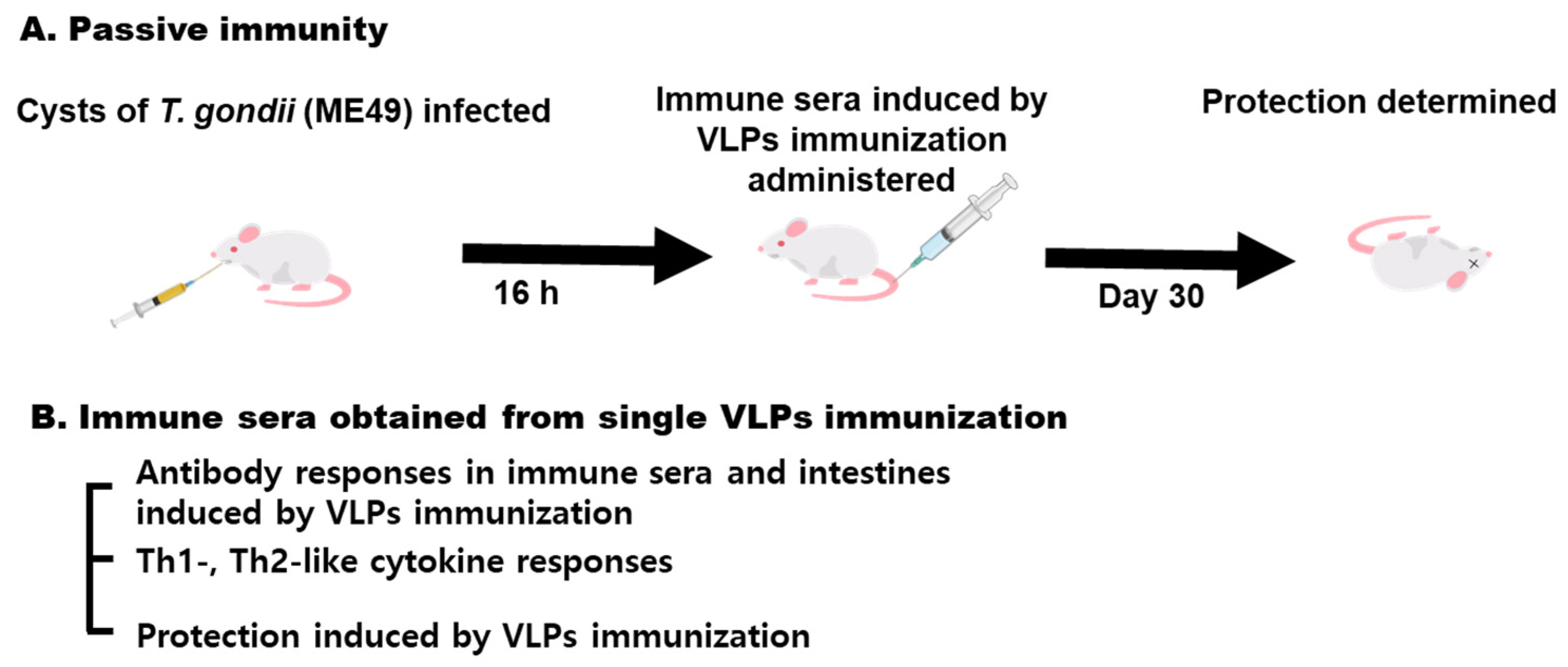 Vaccines 09 00425 g001