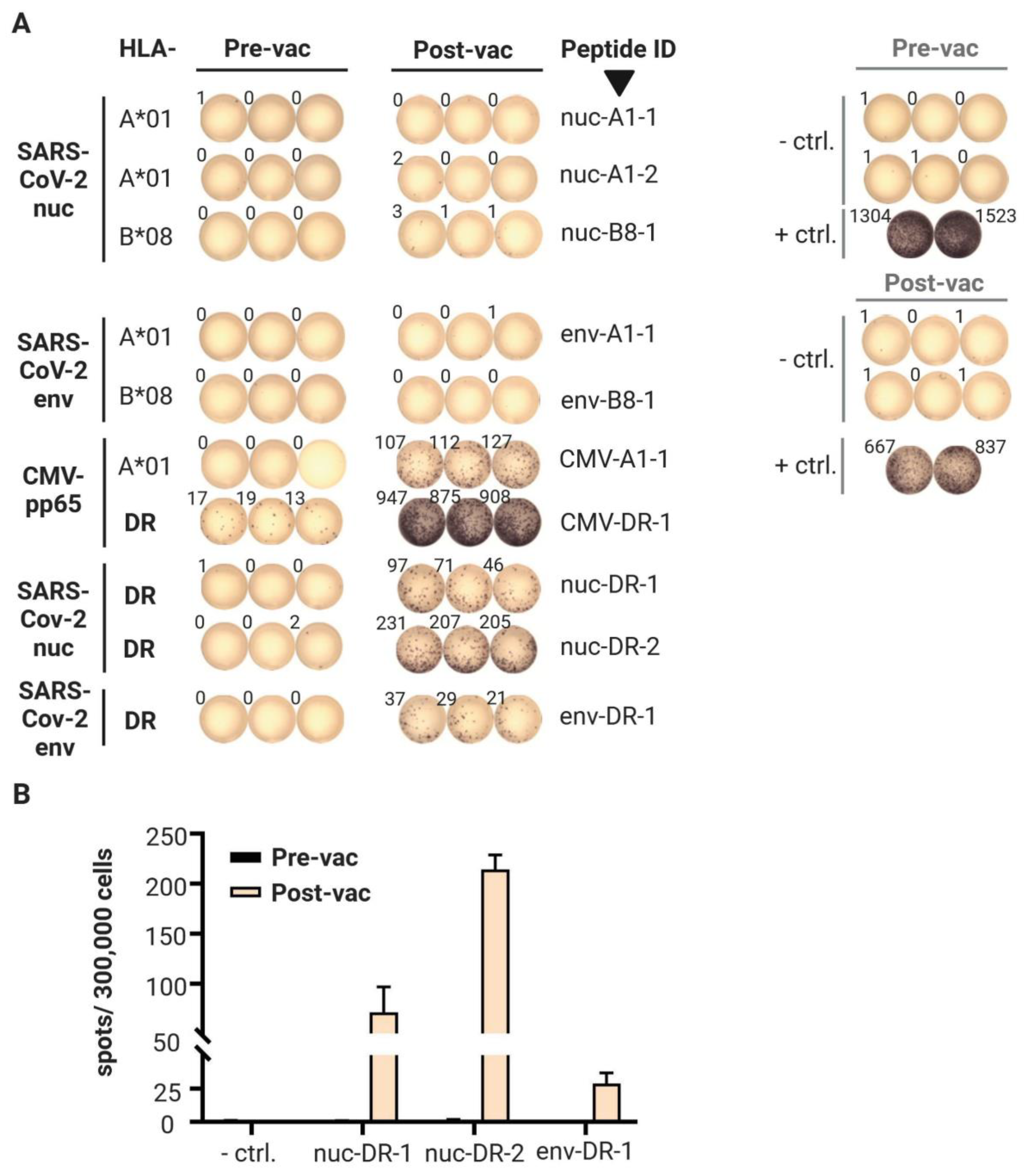 Vaccines 09 00428 g002 Vaccines 09 00428 g002