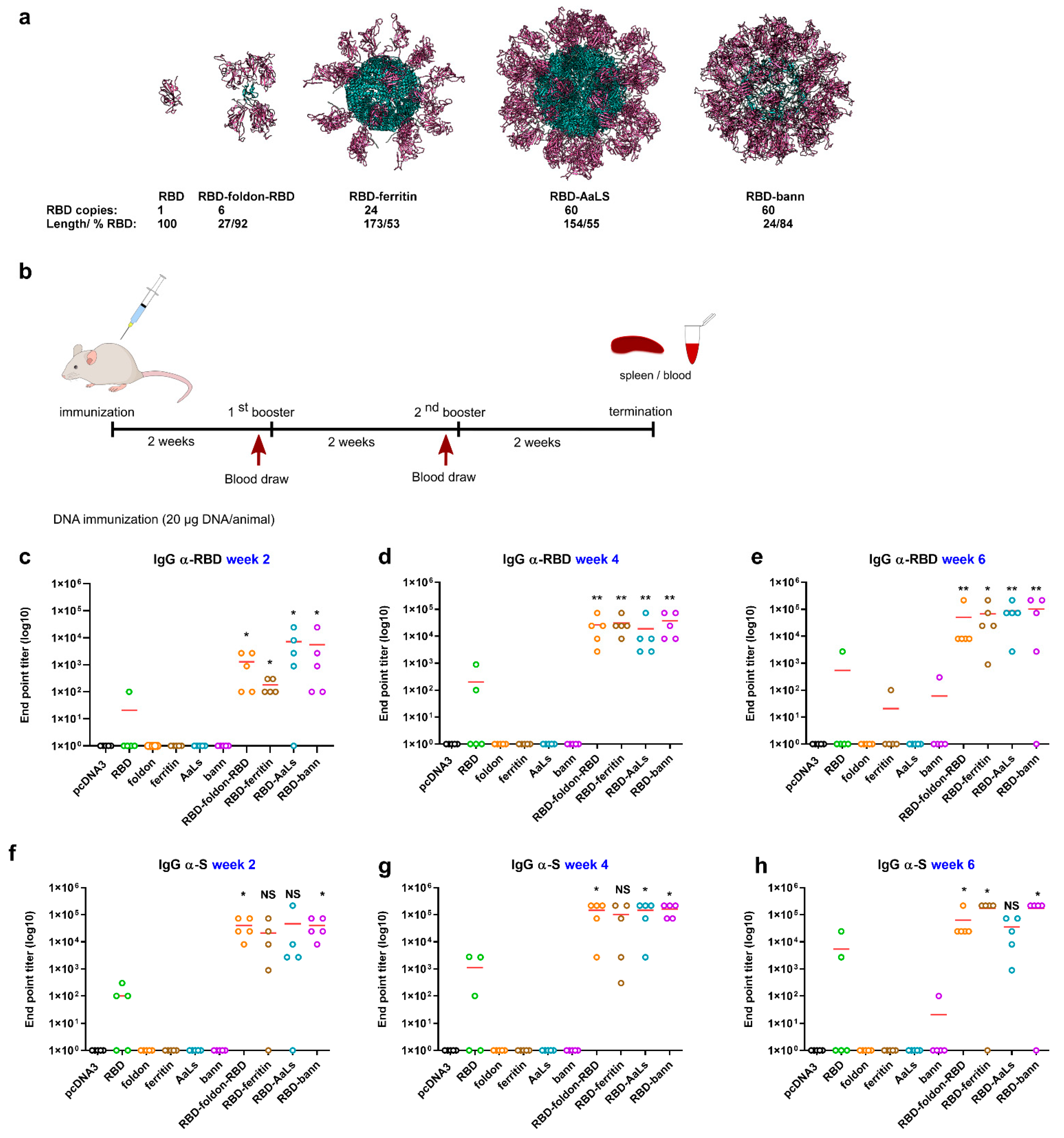 Vaccines 09 00431 g001 Vaccines 09 00431 g001