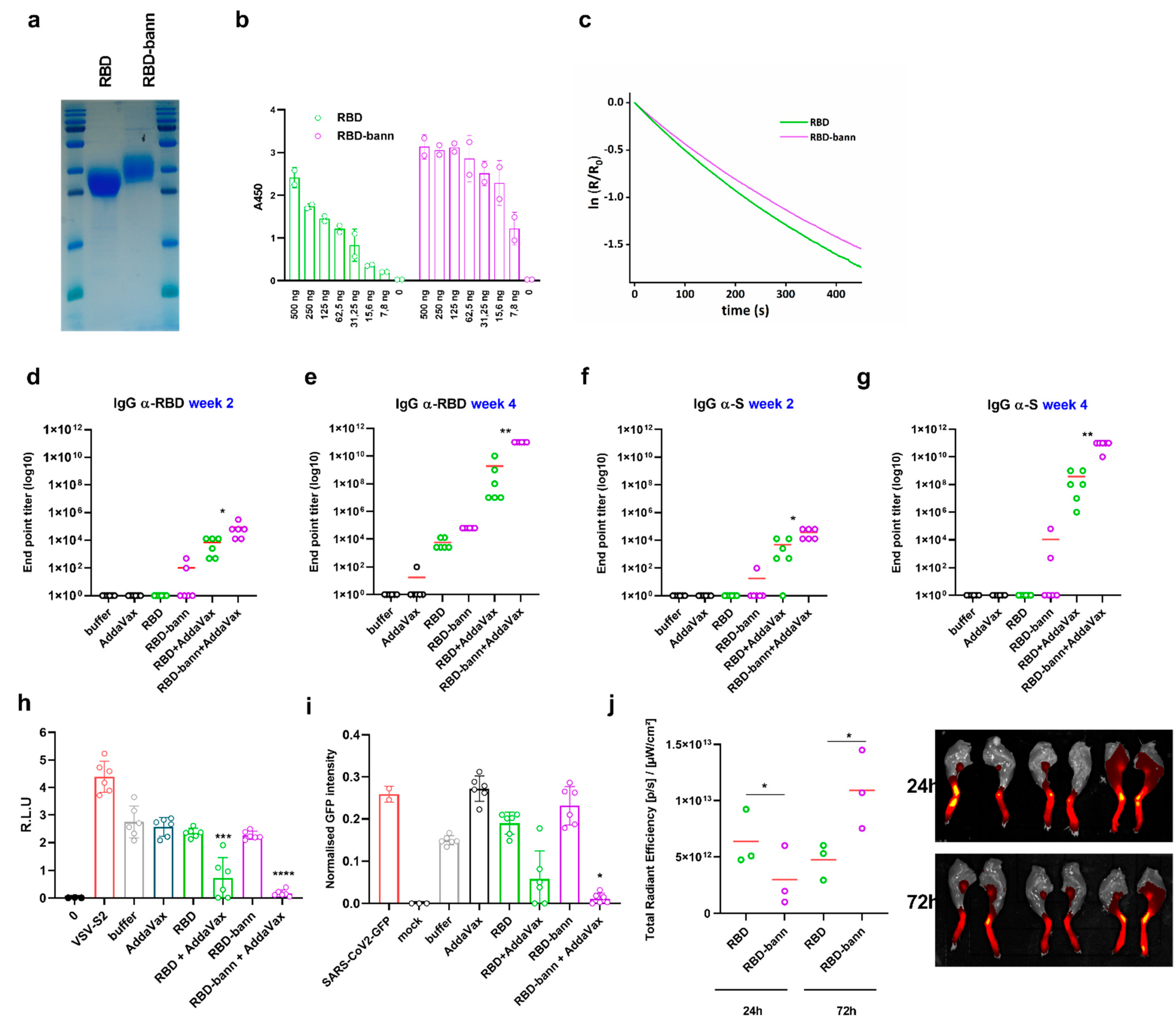 Vaccines 09 00431 g005 Vaccines 09 00431 g005