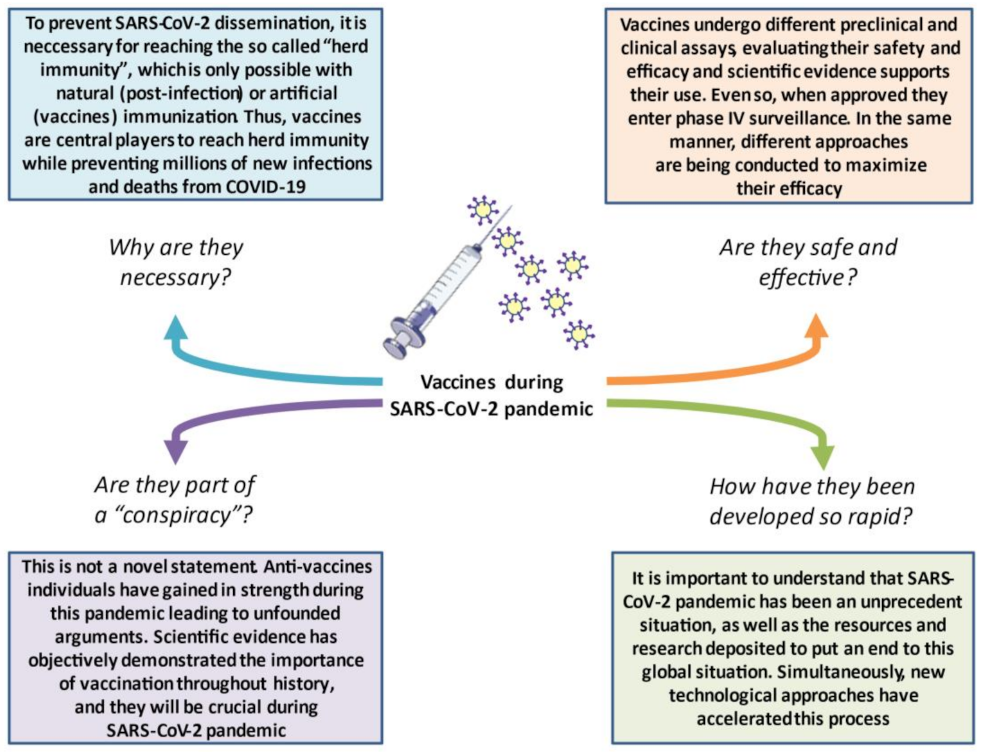 Sars cov 2 вакцина. Role of vaccines.