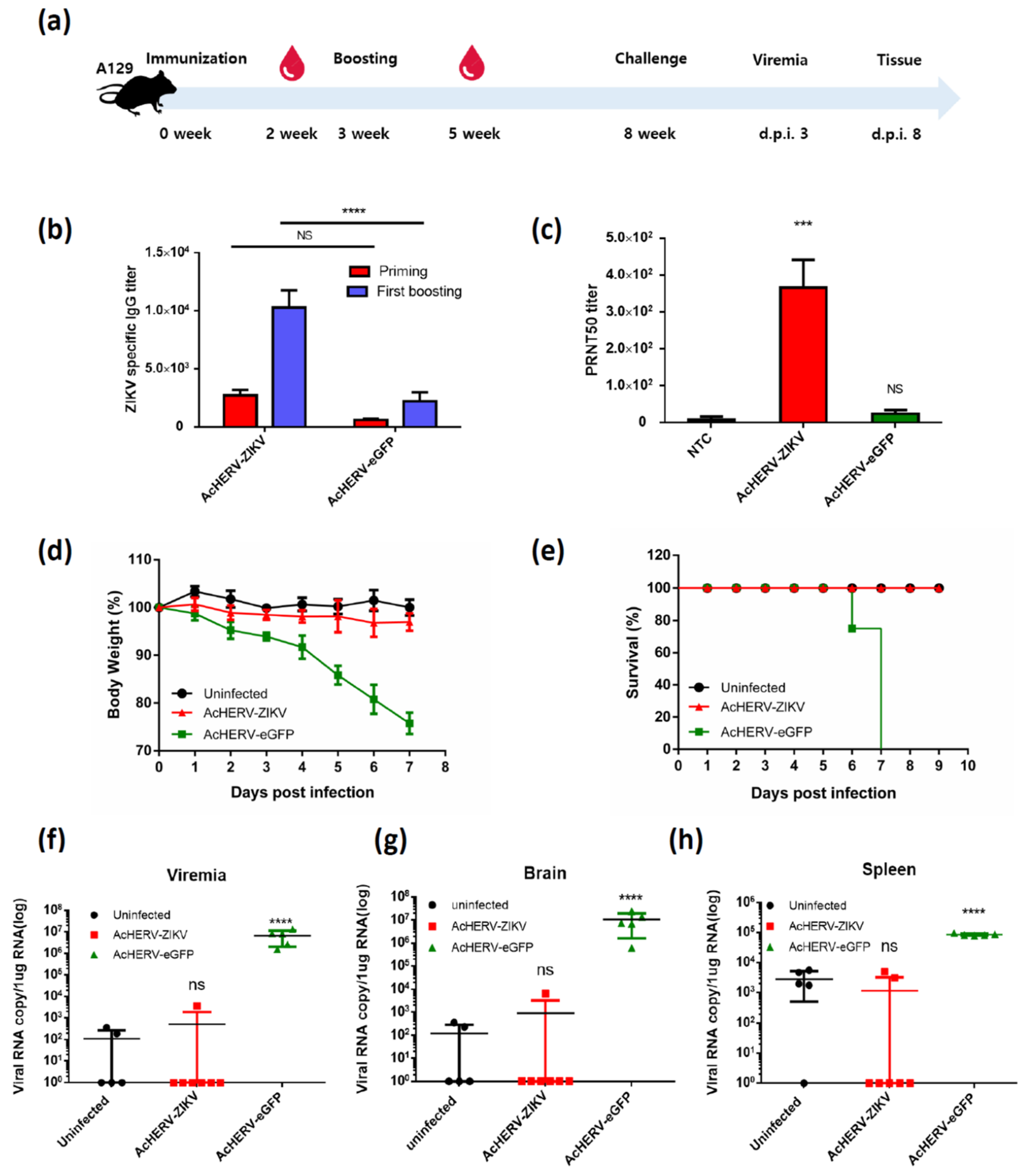 Vaccines 09 00438 g003 Vaccines 09 00438 g003