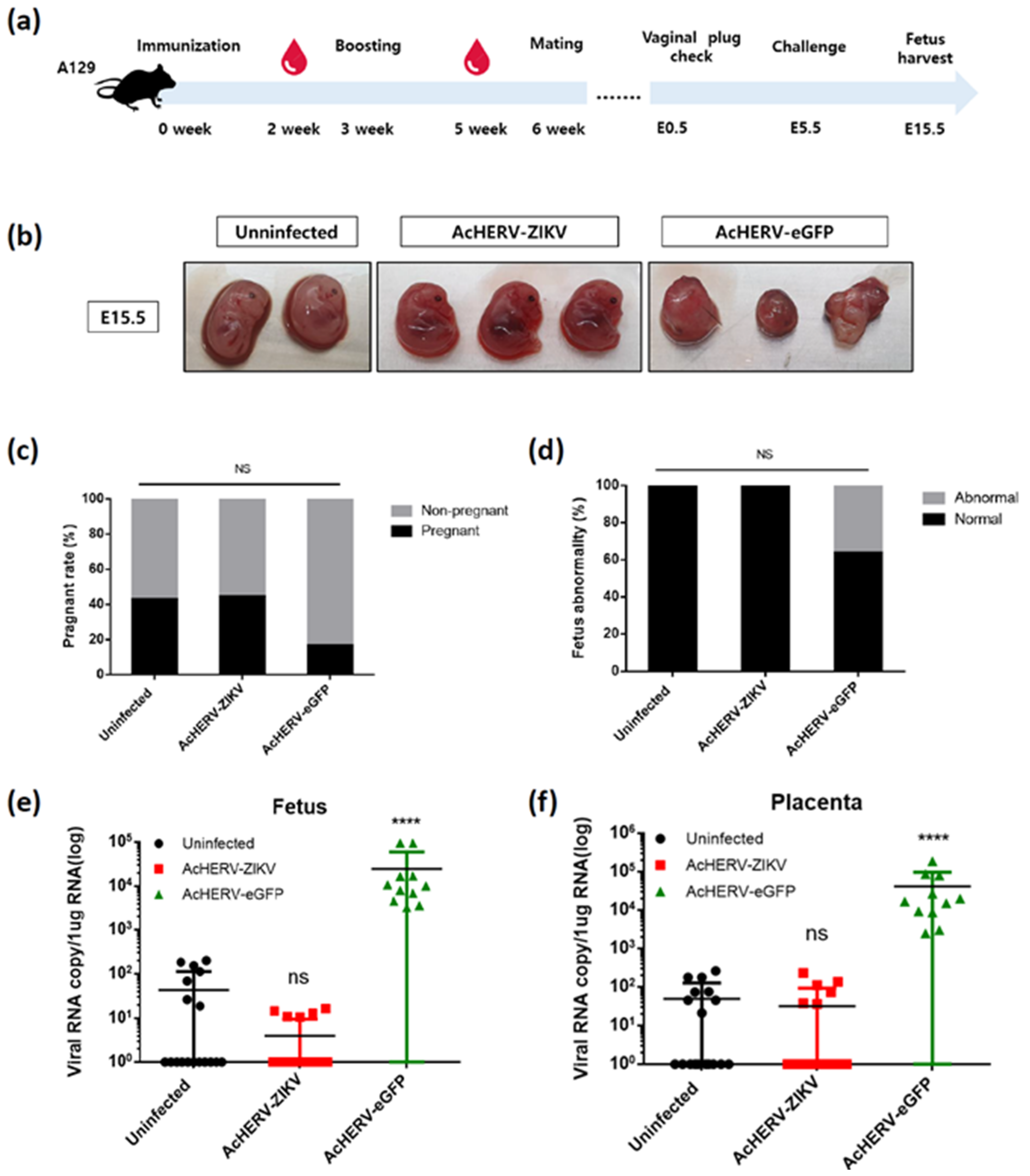 Vaccines 09 00438 g004 Vaccines 09 00438 g004