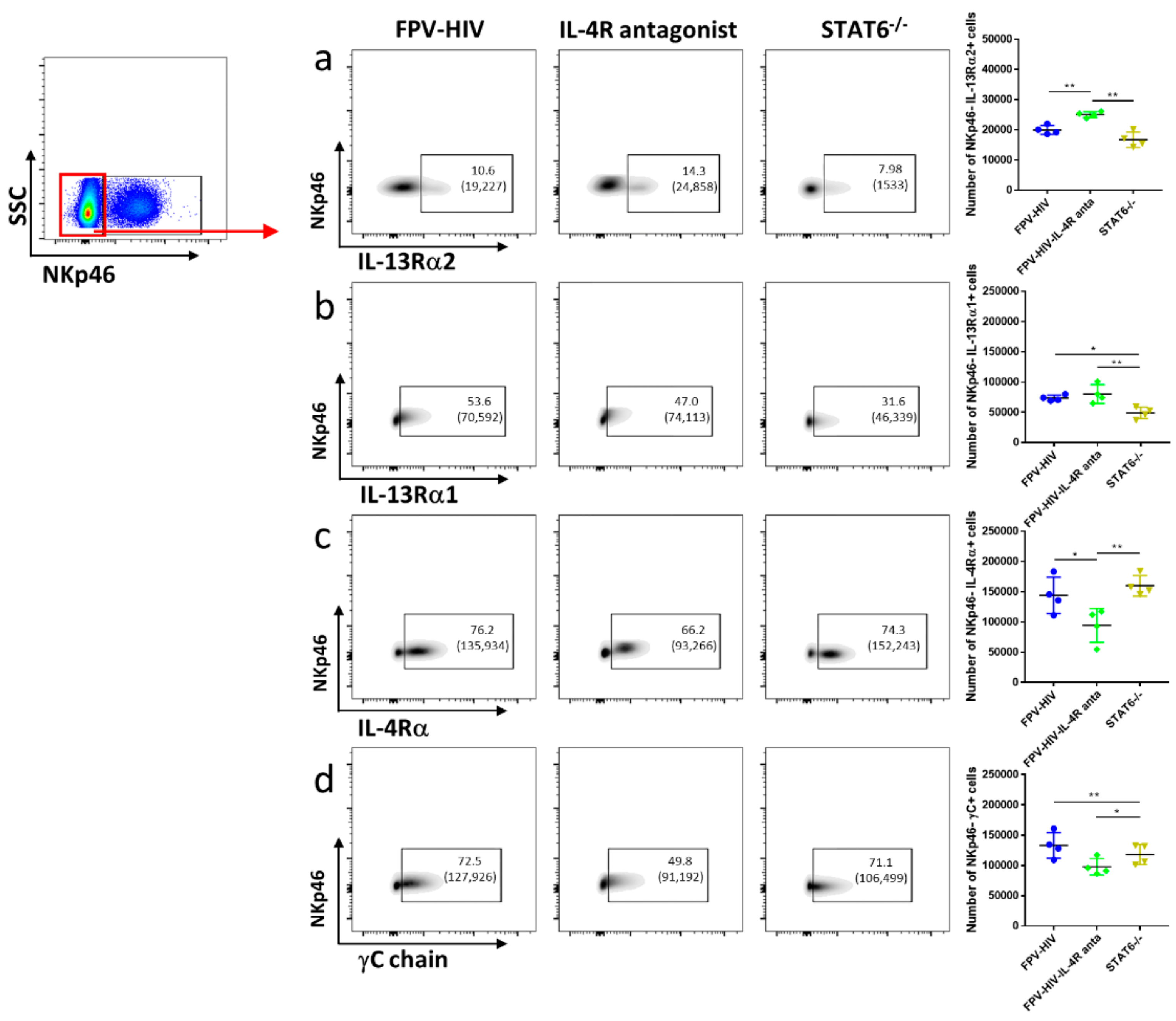 Vaccines 09 00440 g003