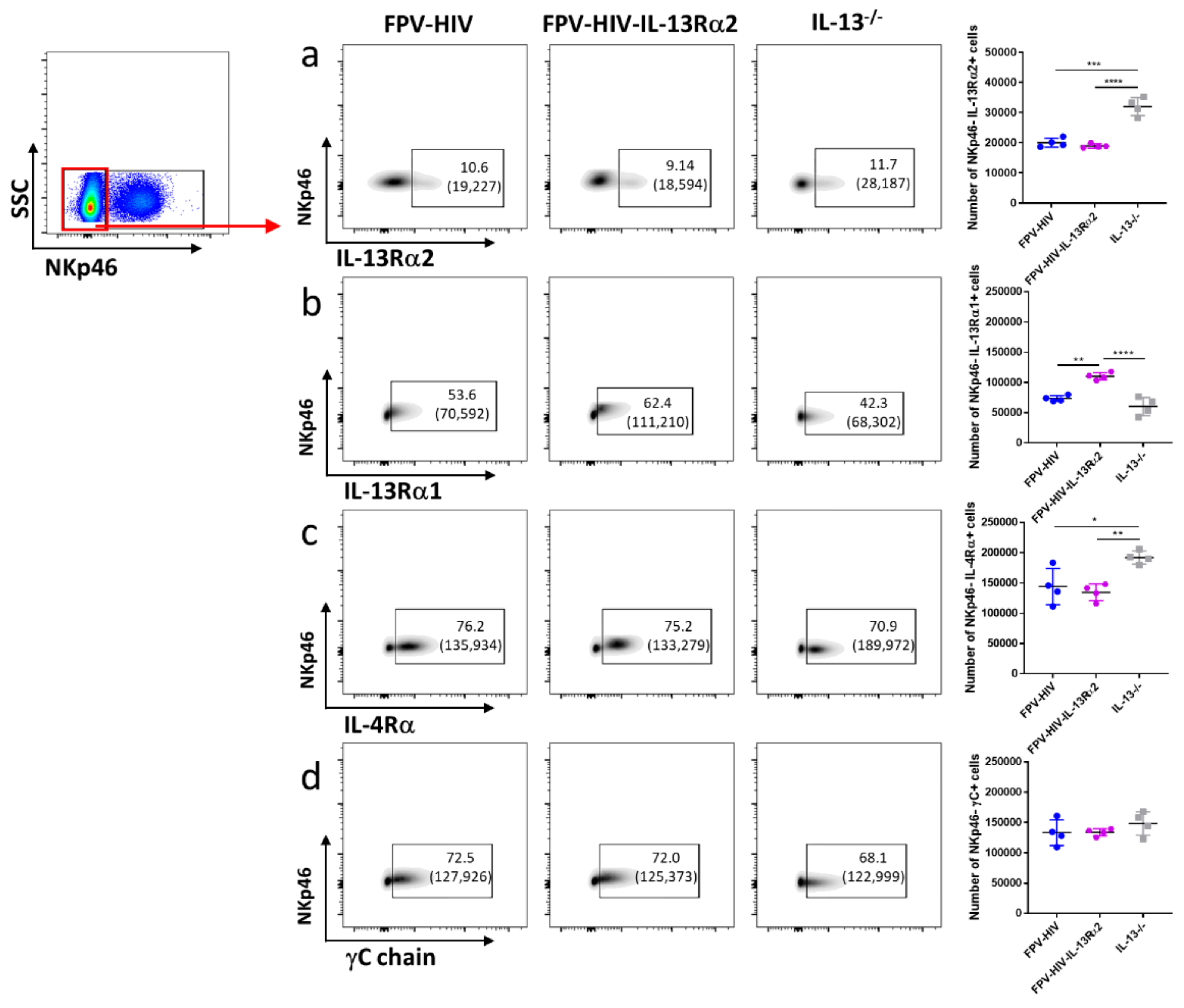 Vaccines 09 00440 g005