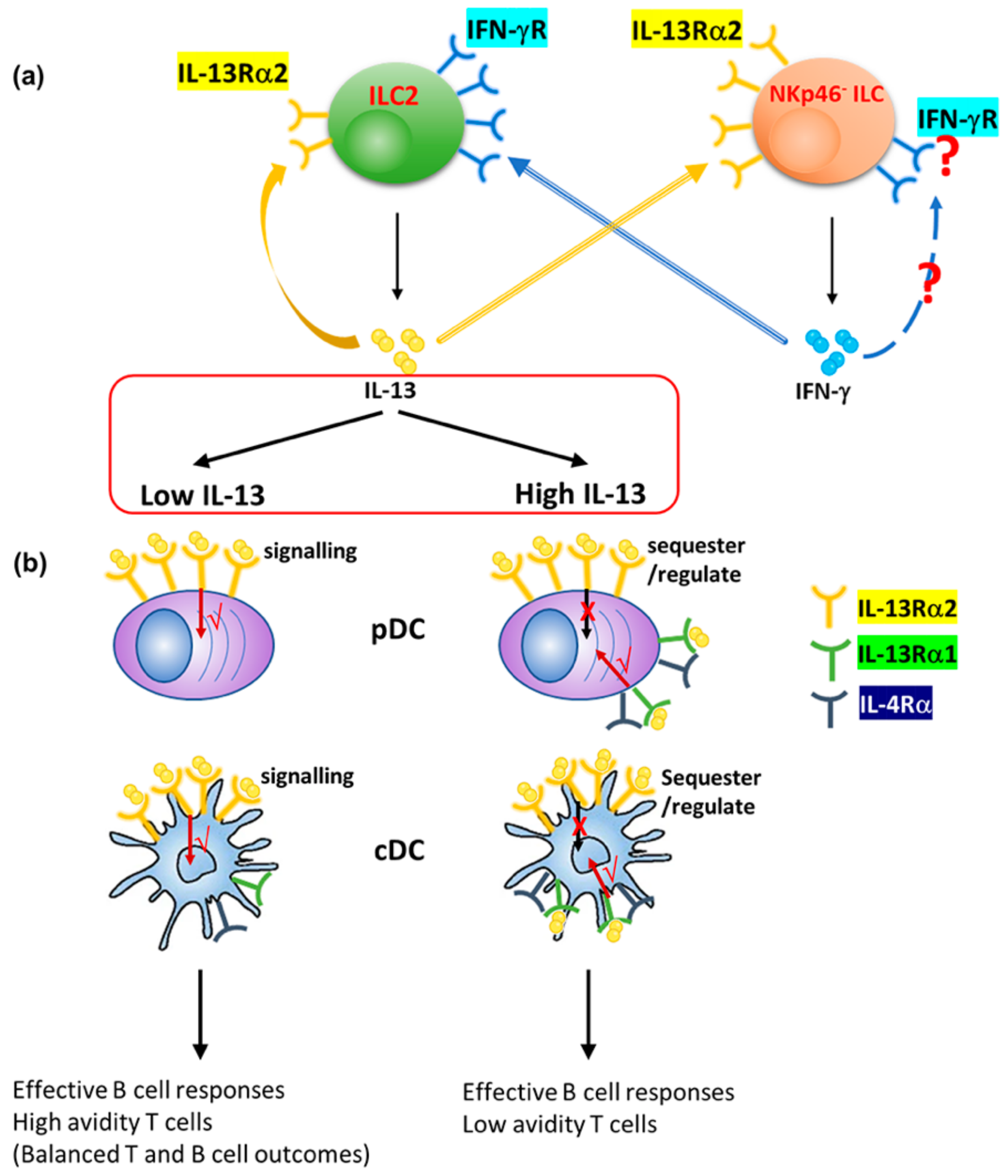 Vaccines 09 00440 g008