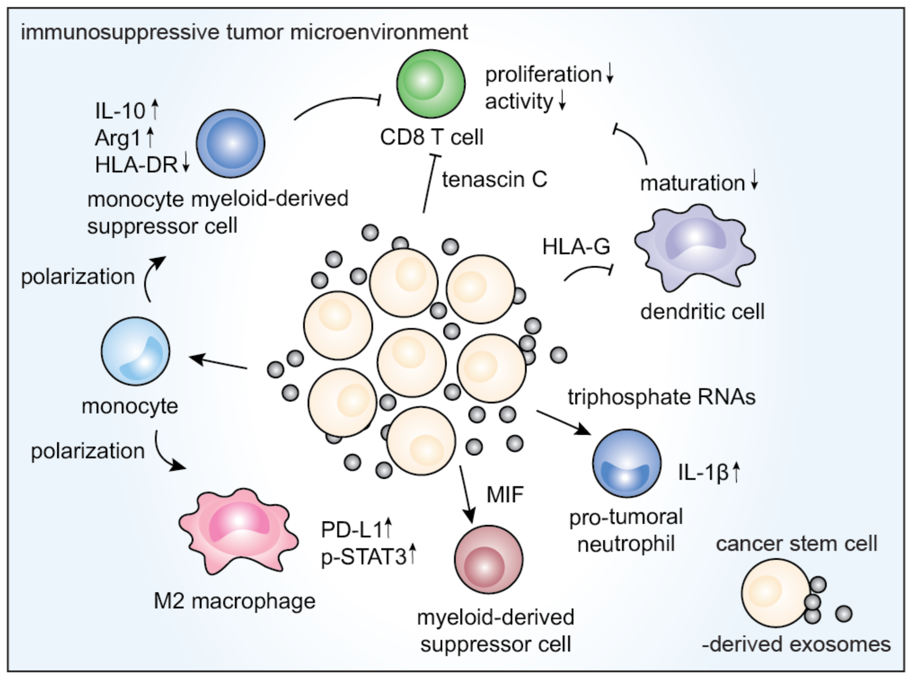 Vaccines 09 00441 g002 Vaccines 09 00441 g002