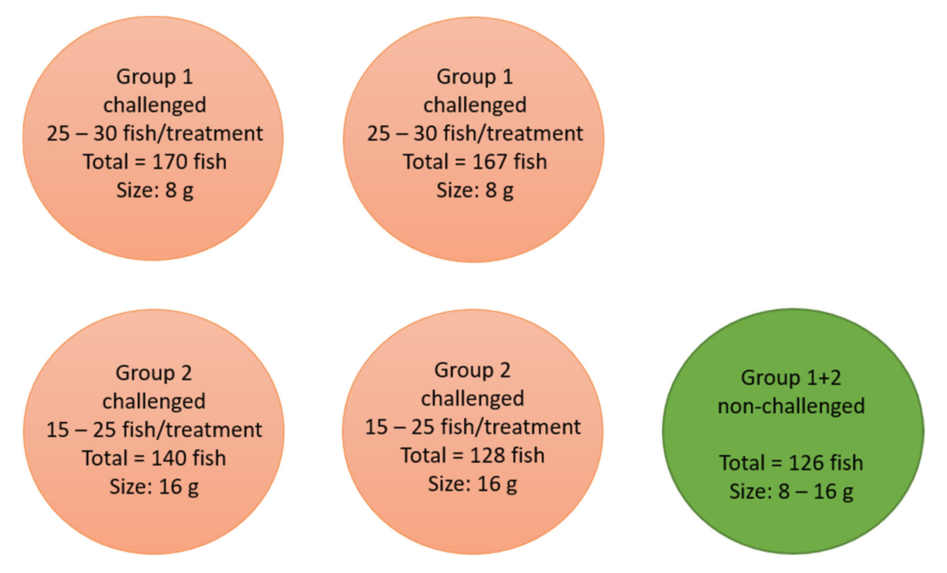 Vaccines 09 00447 g001