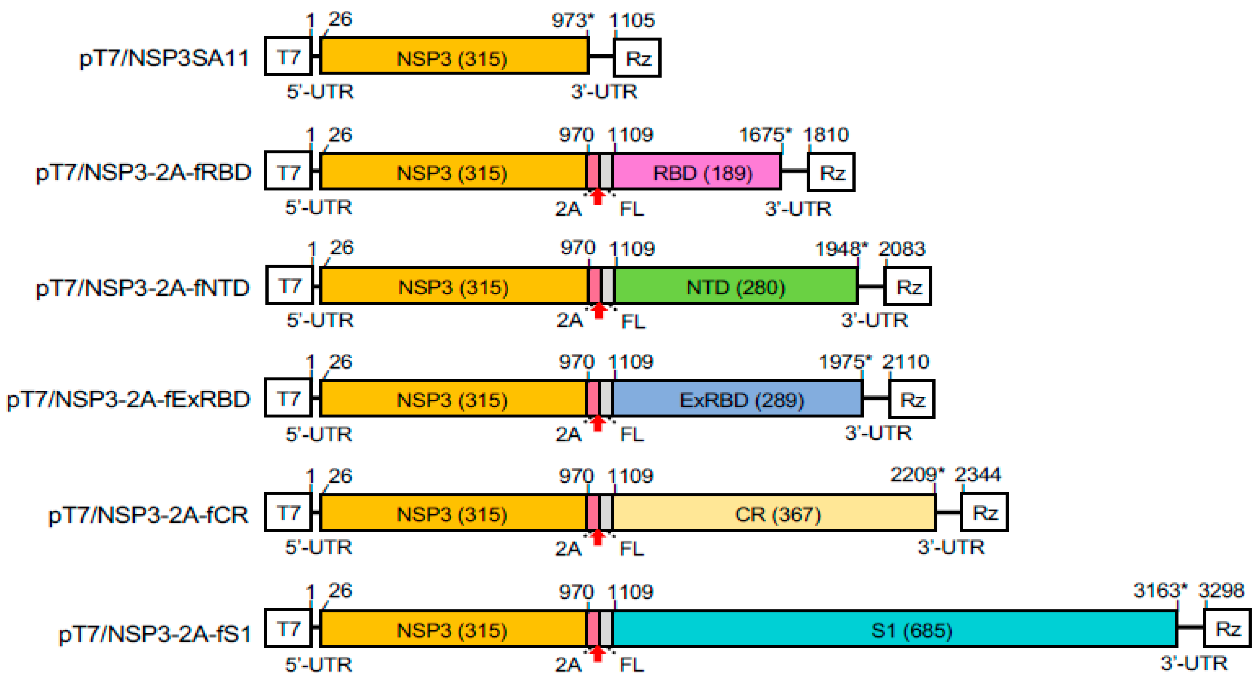 Vaccines 09 00449 g002 Vaccines 09 00449 g002