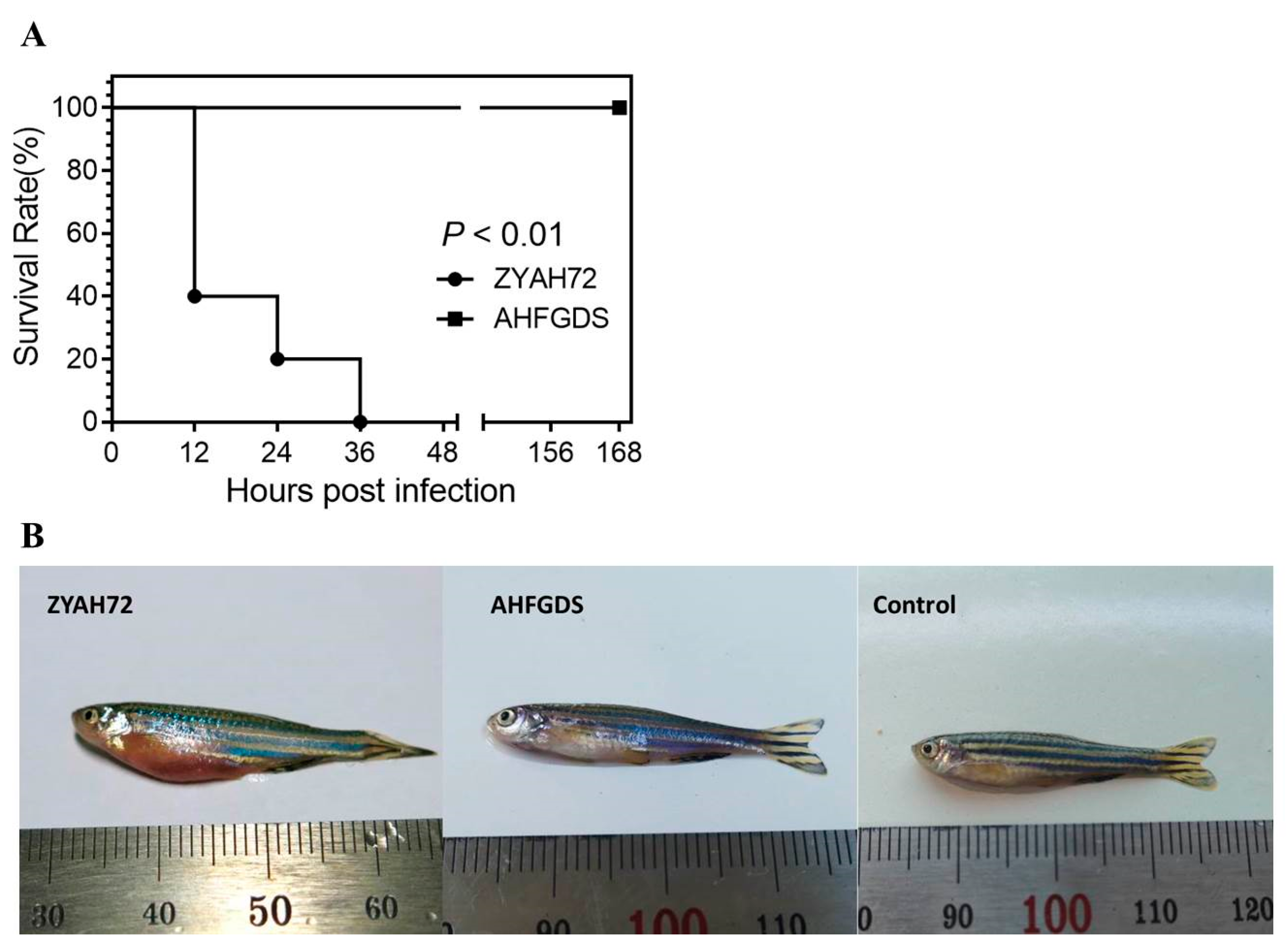 Vaccines 09 00451 g003 Vaccines 09 00451 g003