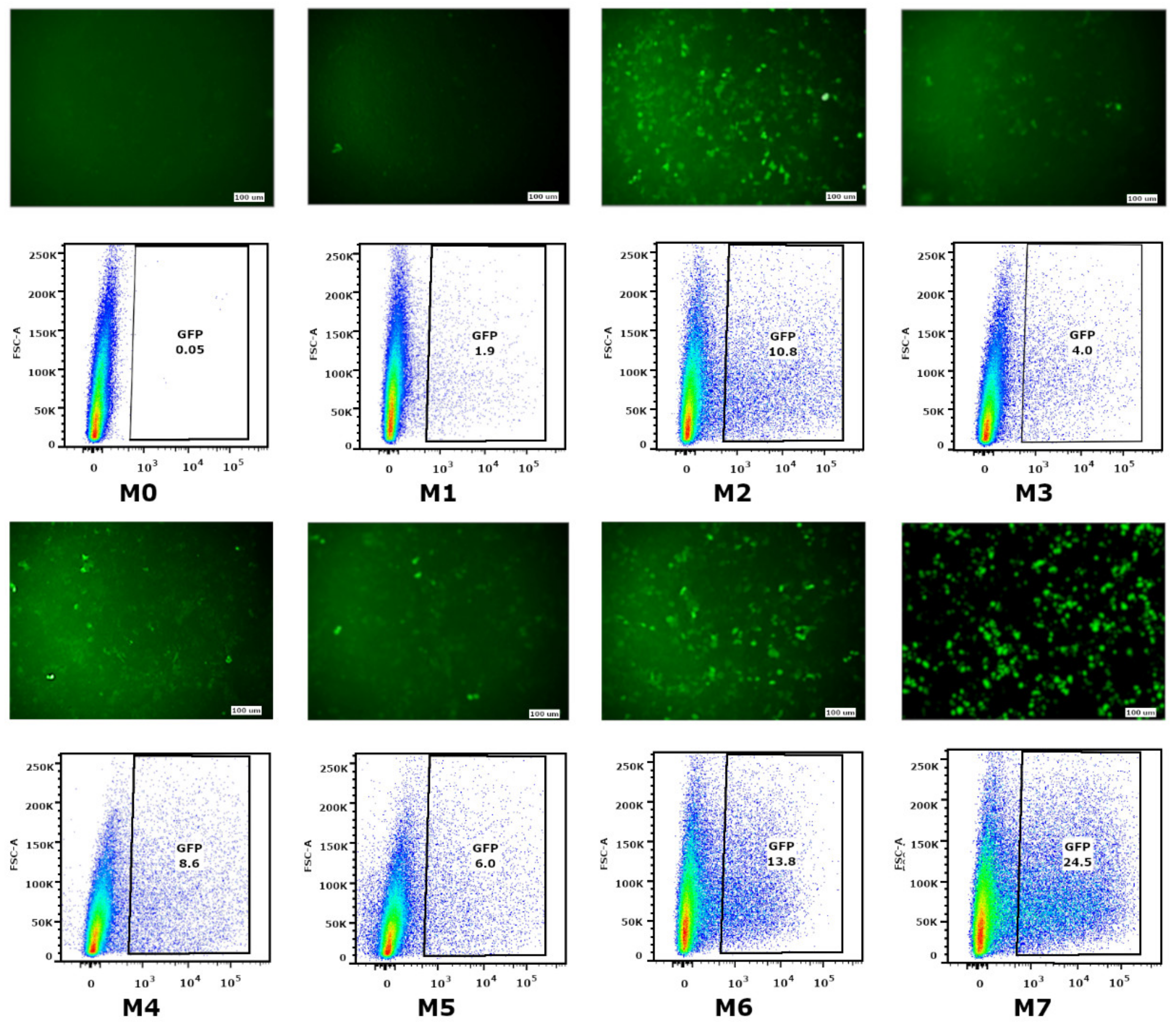 Vaccines 09 00452 g002