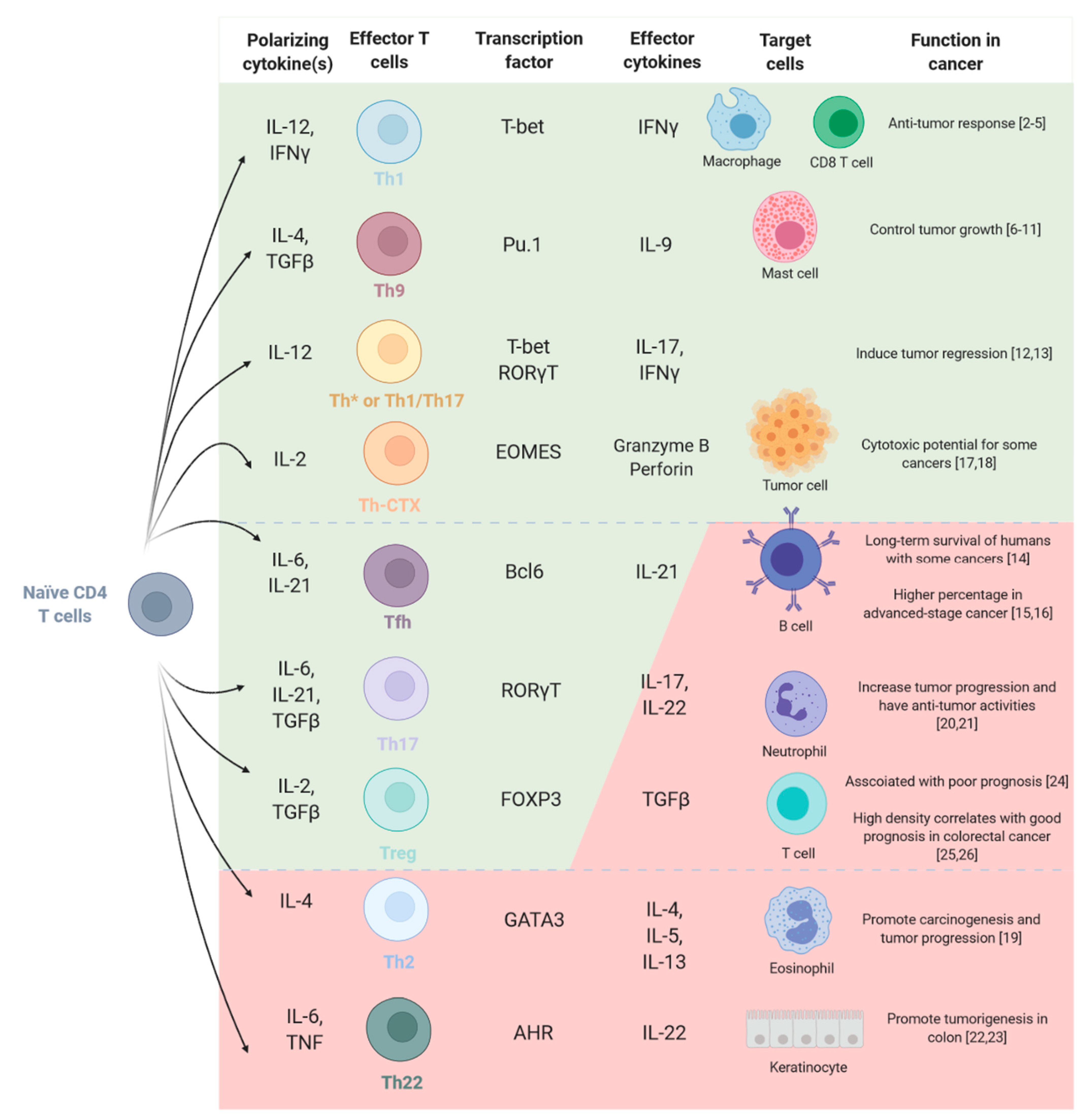 Vaccines 09 00454 g001 Vaccines 09 00454 g001