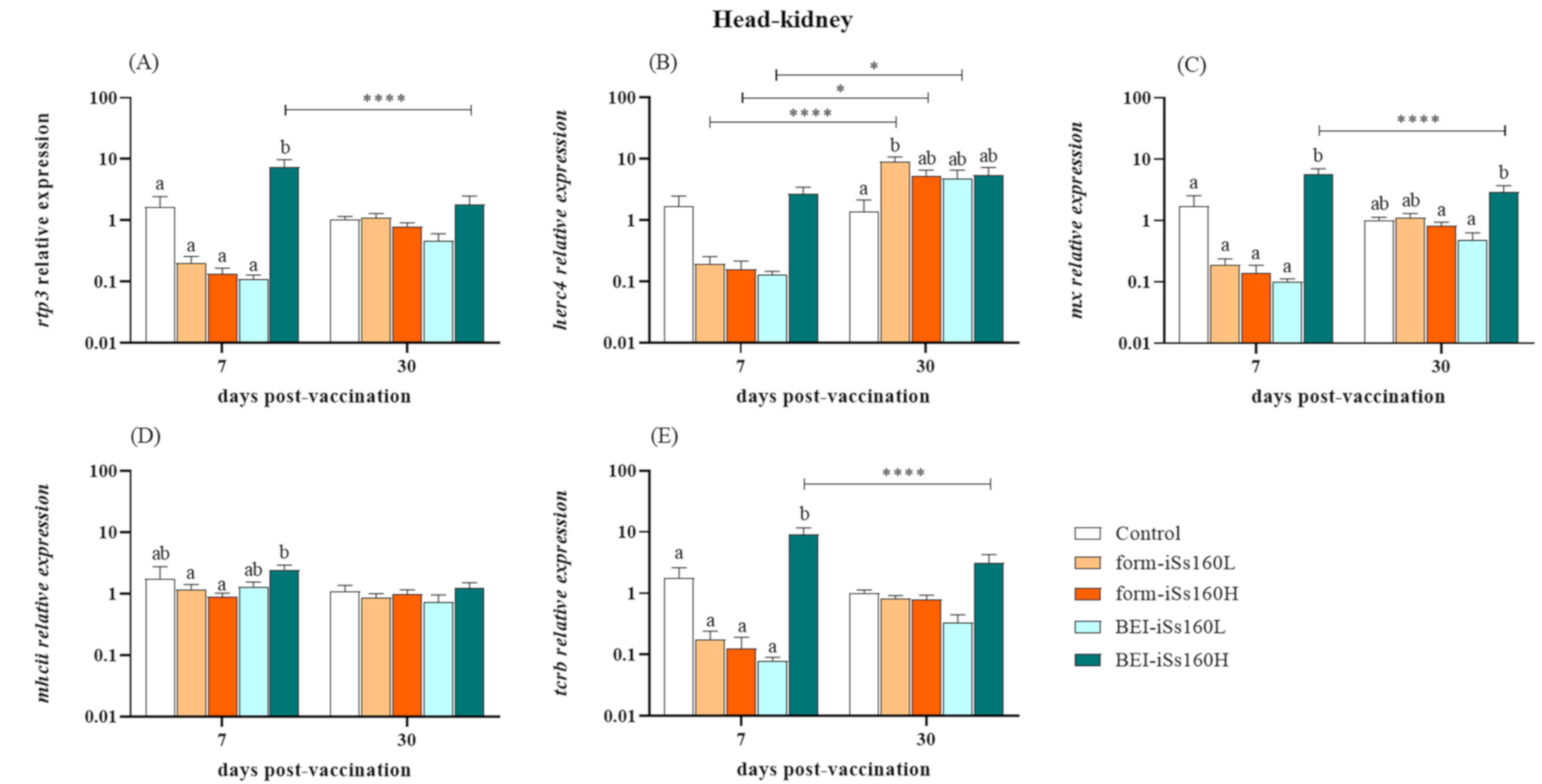 Vaccines 09 00458 g002