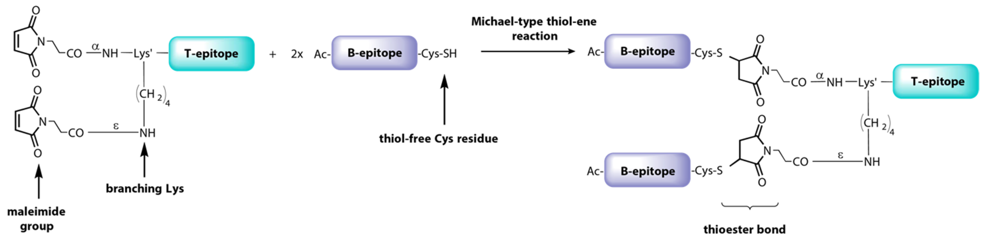 Vaccines 09 00477 g006 Vaccines 09 00477 g006