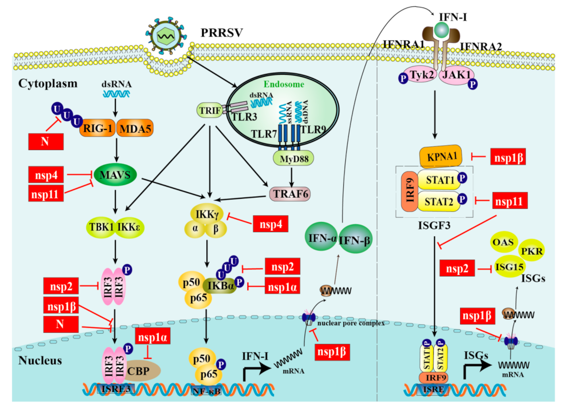 Vaccines 09 00480 g001 Vaccines 09 00480 g001