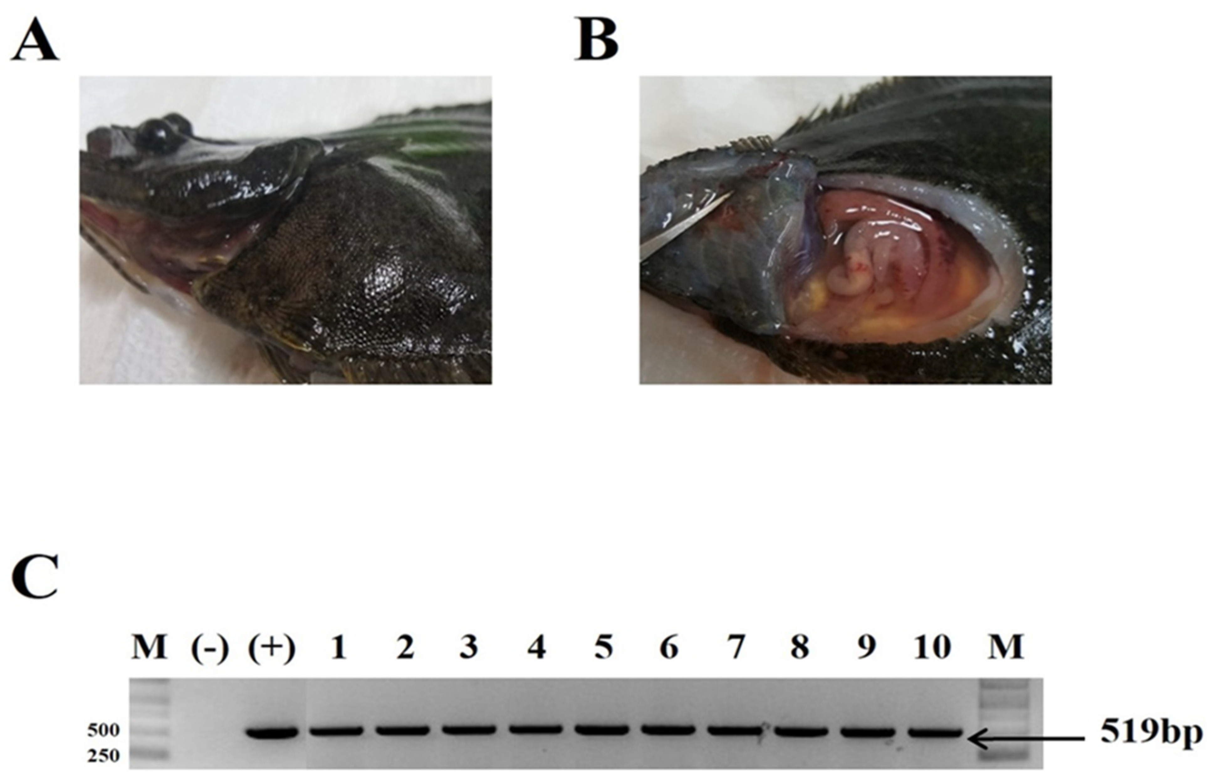 Vaccines 09 00482 g003 Vaccines 09 00482 g003
