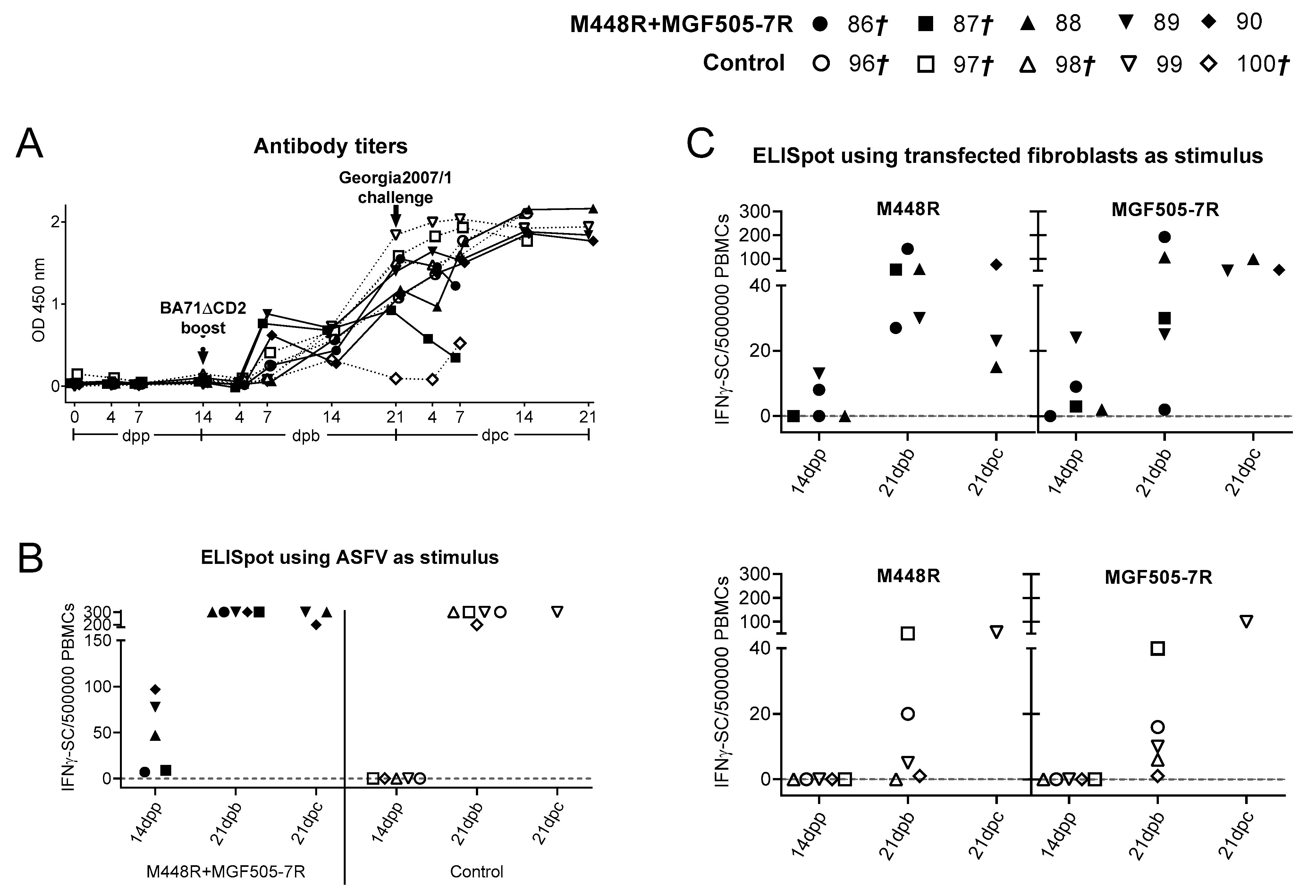 Vaccines 09 00508 g007 Vaccines 09 00508 g007