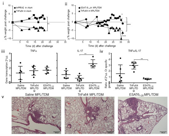 Vaccines Free Full-Text Balance between Protection and