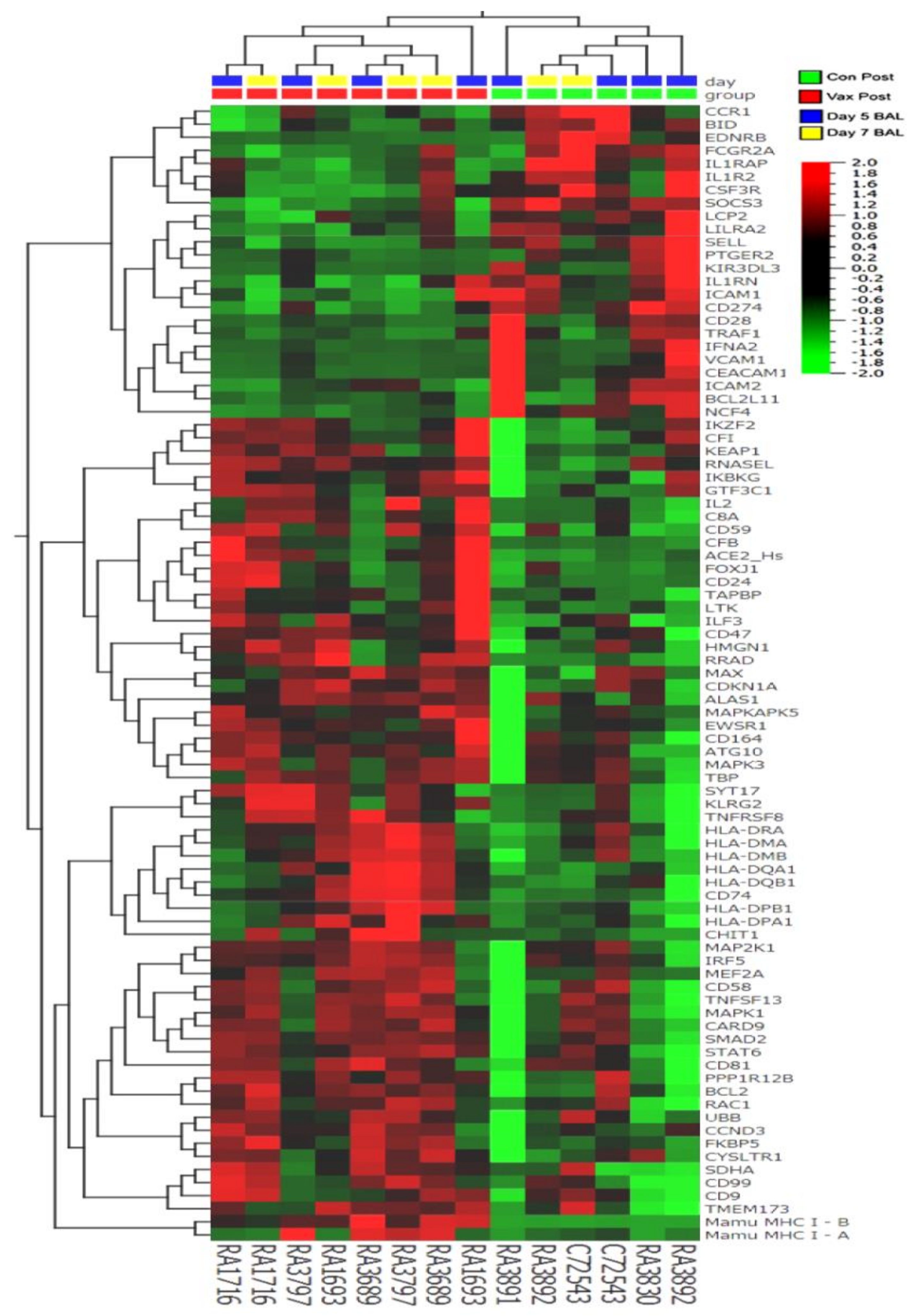 Vaccines 09 00520 g005